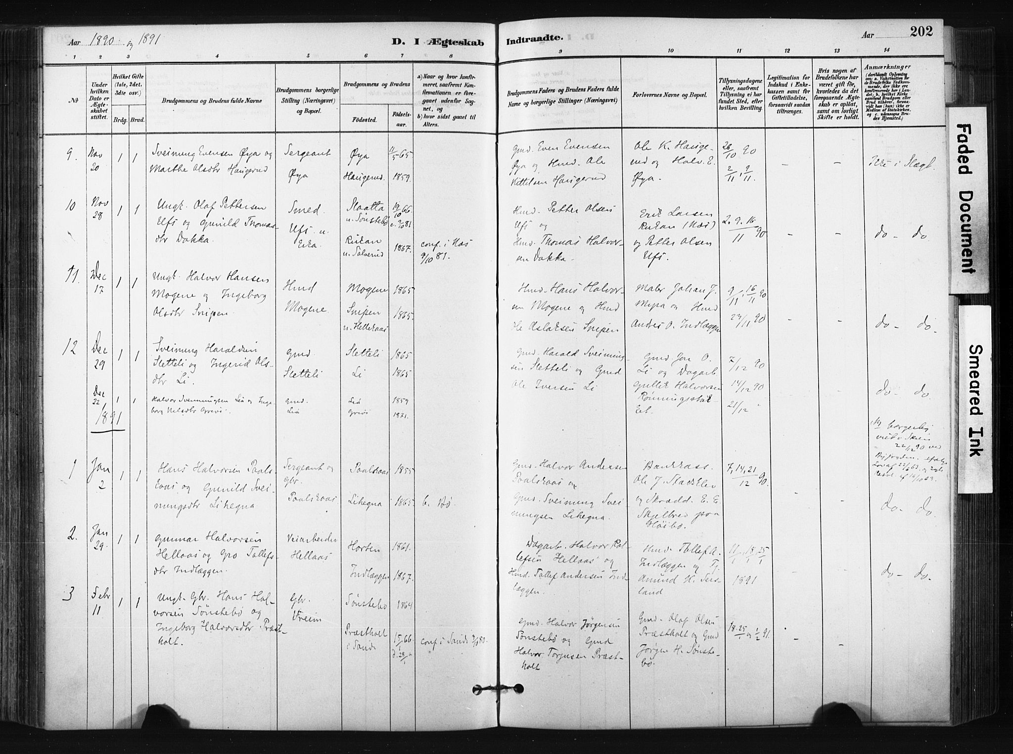 Bø kirkebøker, SAKO/A-257/F/Fa/L0010: Parish register (official) no. 10, 1880-1892, p. 202