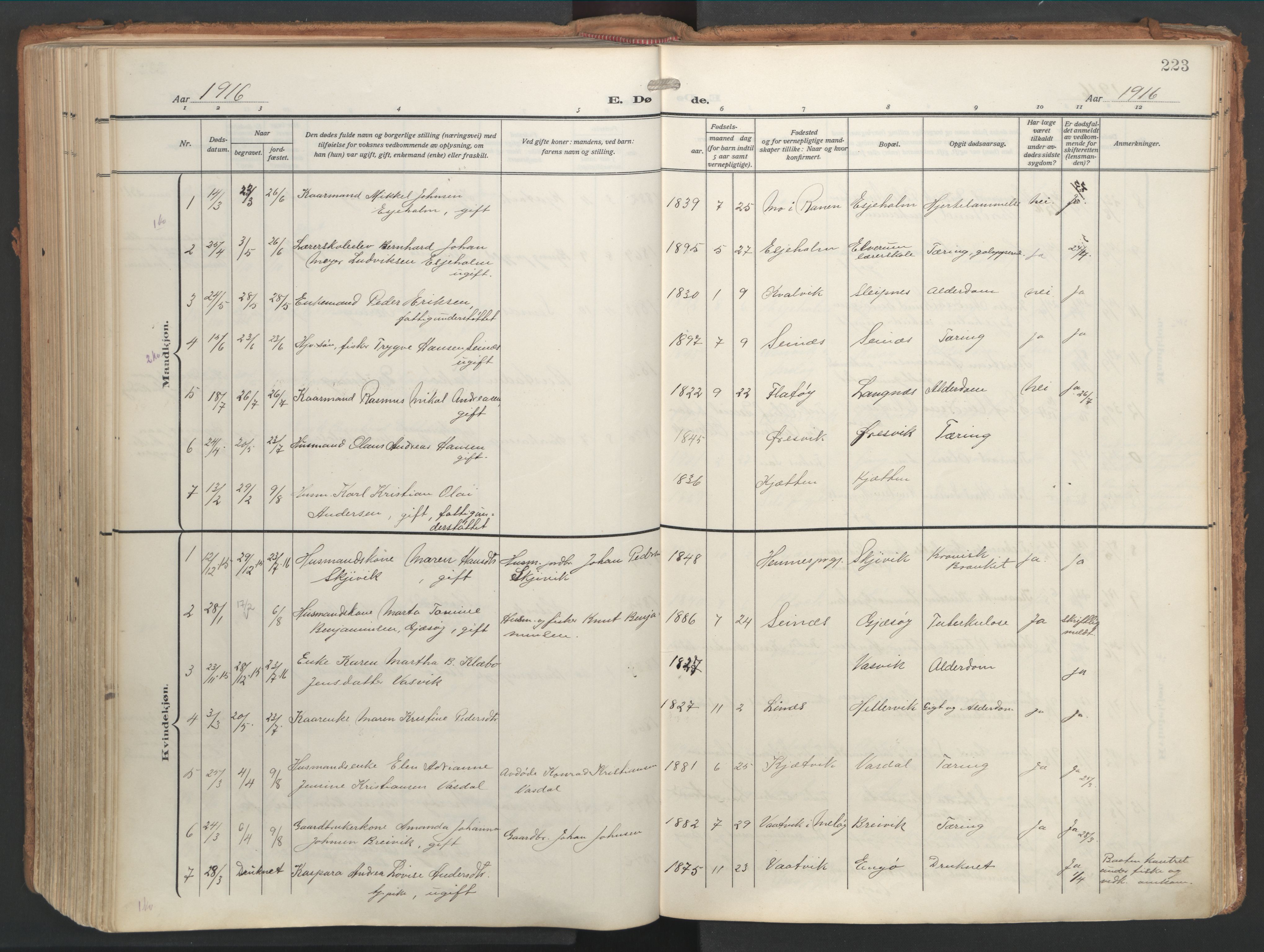 Ministerialprotokoller, klokkerbøker og fødselsregistre - Nordland, SAT/A-1459/841/L0614: Parish register (official) no. 841A17, 1911-1925, p. 223