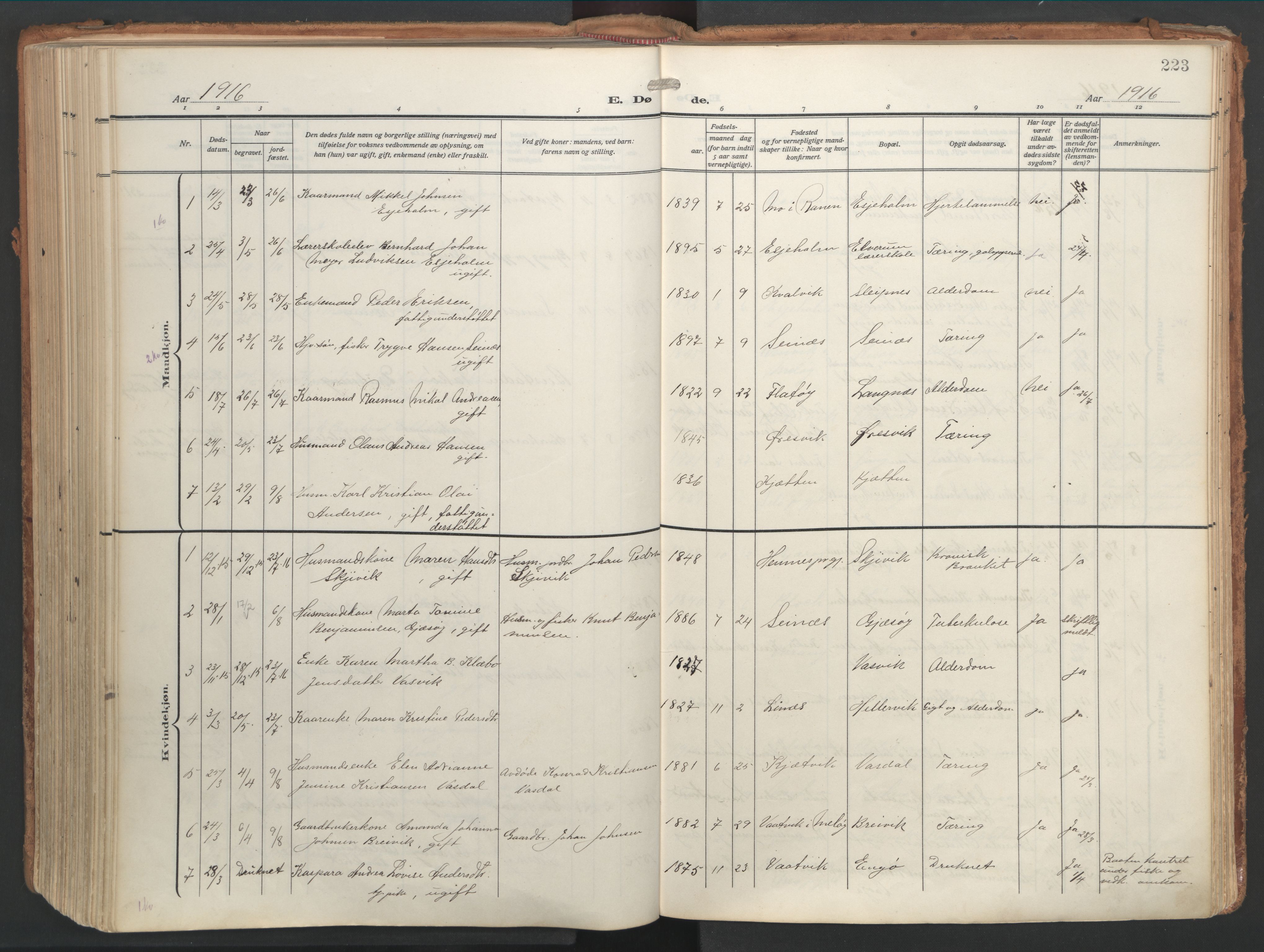 Ministerialprotokoller, klokkerbøker og fødselsregistre - Nordland, AV/SAT-A-1459/841/L0614: Parish register (official) no. 841A17, 1911-1925, p. 223