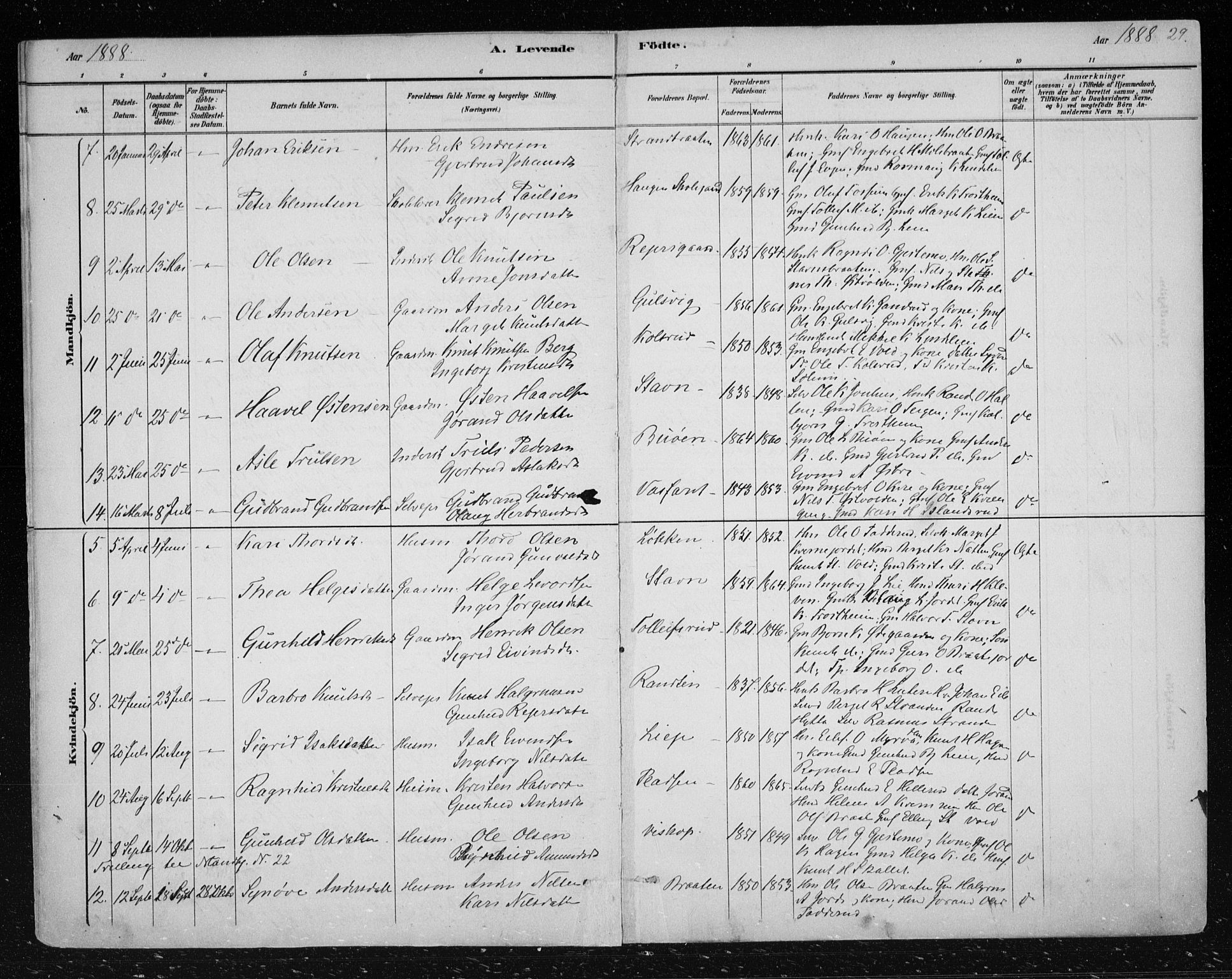 Nes kirkebøker, AV/SAKO-A-236/F/Fa/L0012: Parish register (official) no. 12, 1881-1917, p. 29