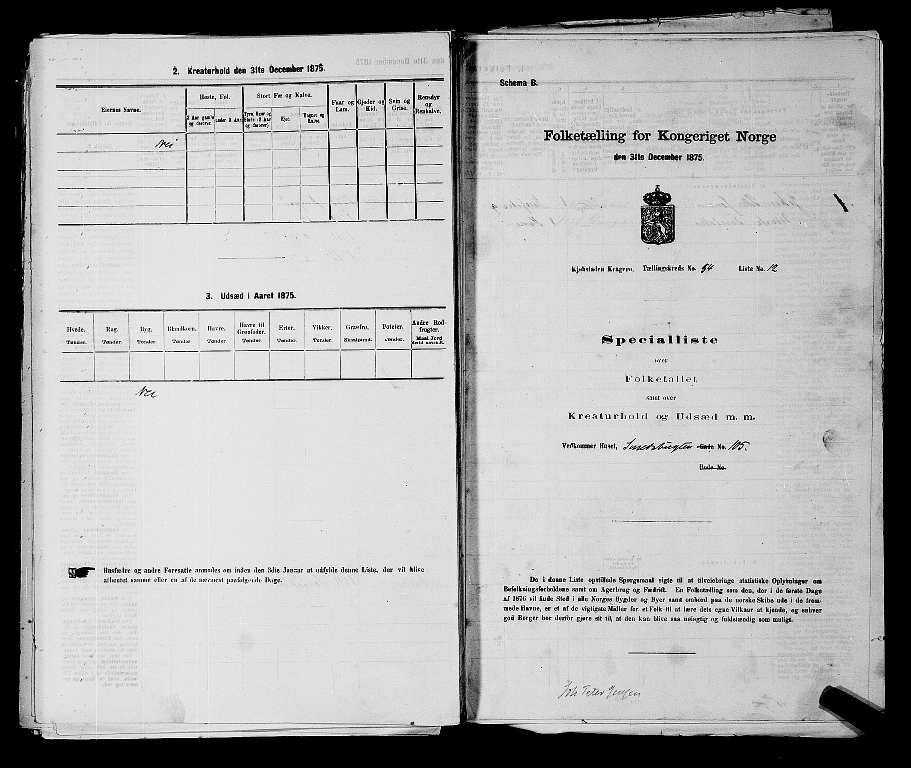 SAKO, 1875 census for 0801P Kragerø, 1875, p. 1207