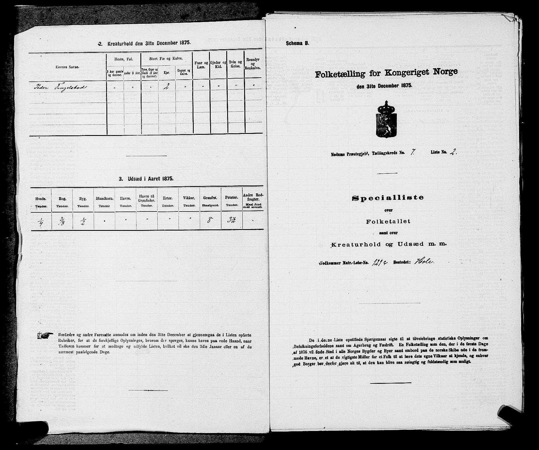 SAKO, 1875 census for 0623P Modum, 1875, p. 733