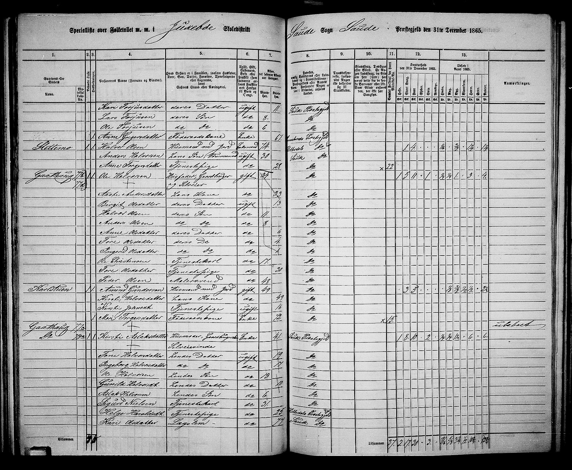 RA, 1865 census for Sauherad, 1865, p. 69