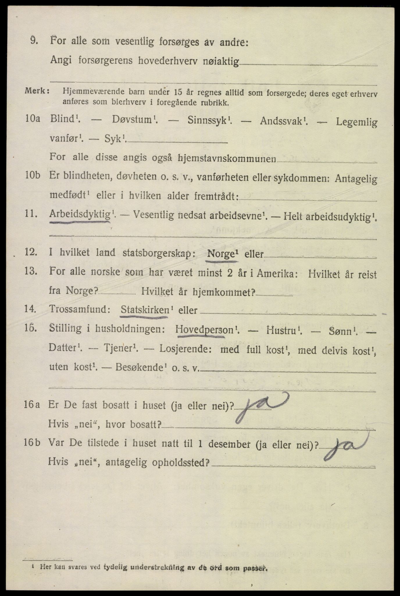 SAK, 1920 census for Hornnes, 1920, p. 3124