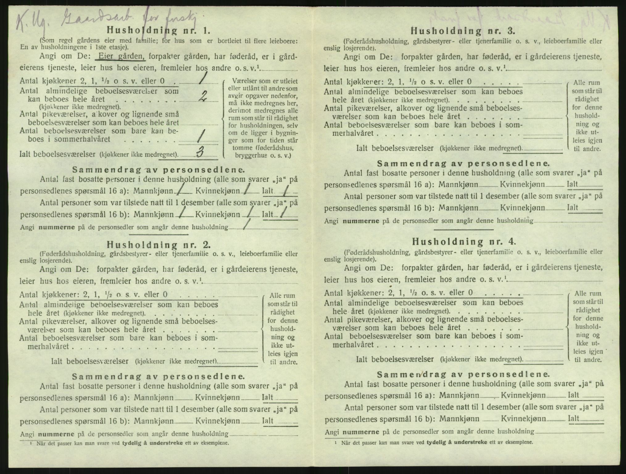 SAKO, 1920 census for Brunlanes, 1920, p. 1780