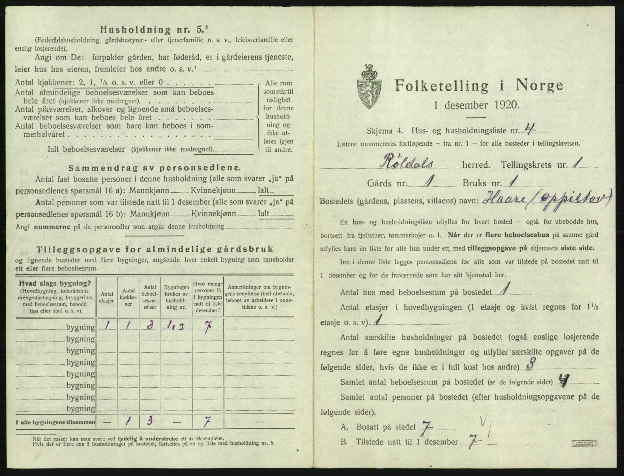 SAB, 1920 census for Røldal, 1920, p. 21