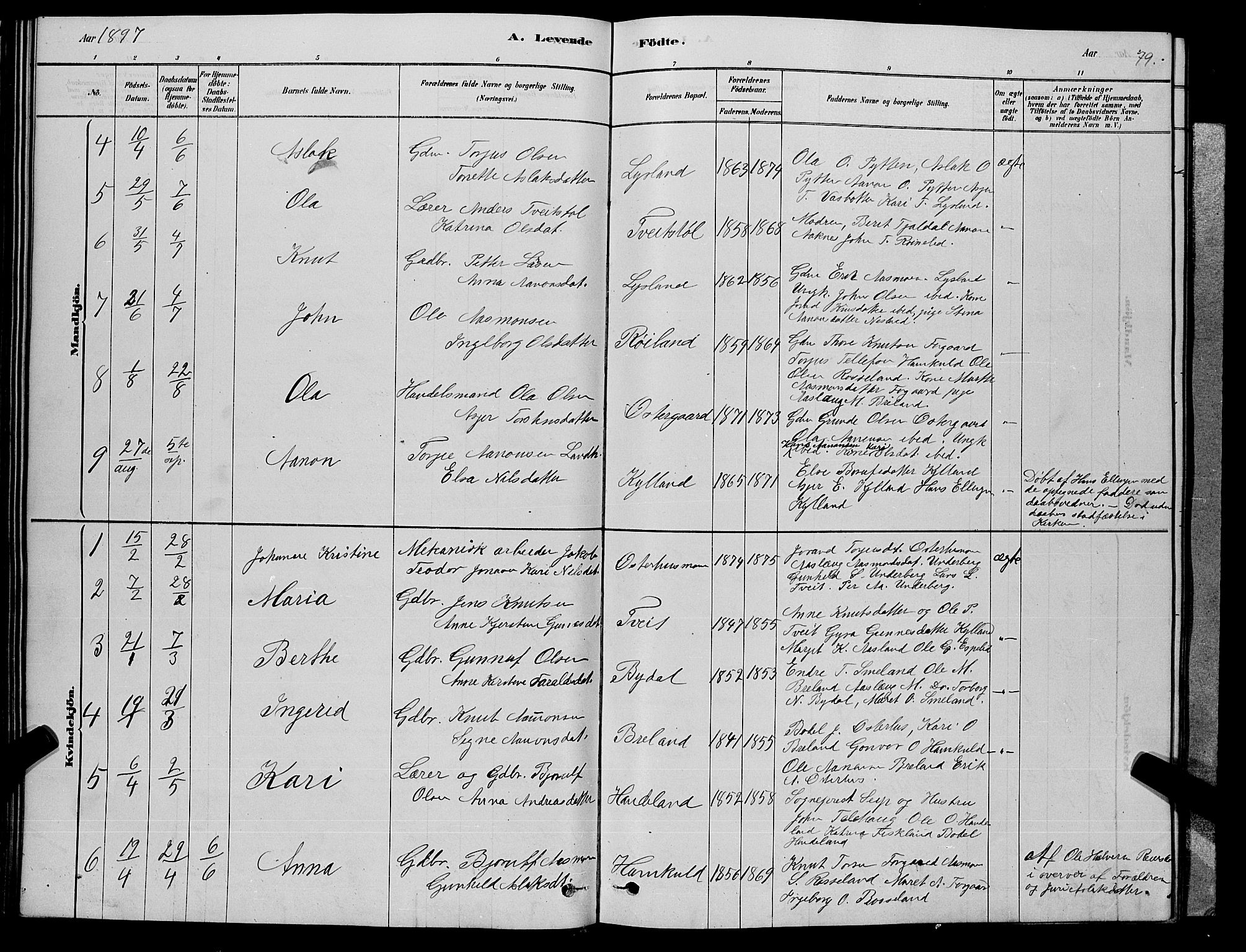 Åseral sokneprestkontor, AV/SAK-1111-0051/F/Fb/L0002: Parish register (copy) no. B 2, 1878-1899, p. 79