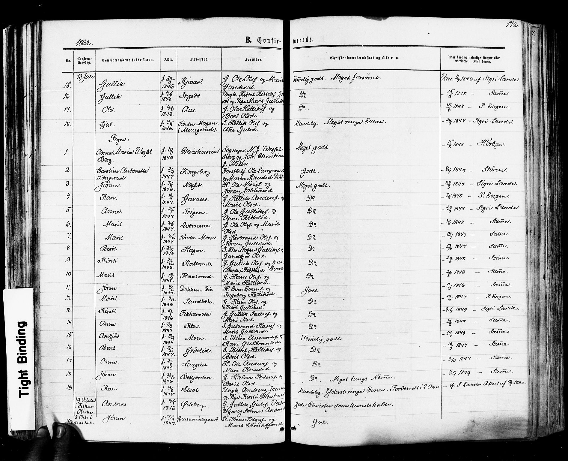 Flesberg kirkebøker, SAKO/A-18/F/Fa/L0007: Parish register (official) no. I 7, 1861-1878, p. 172