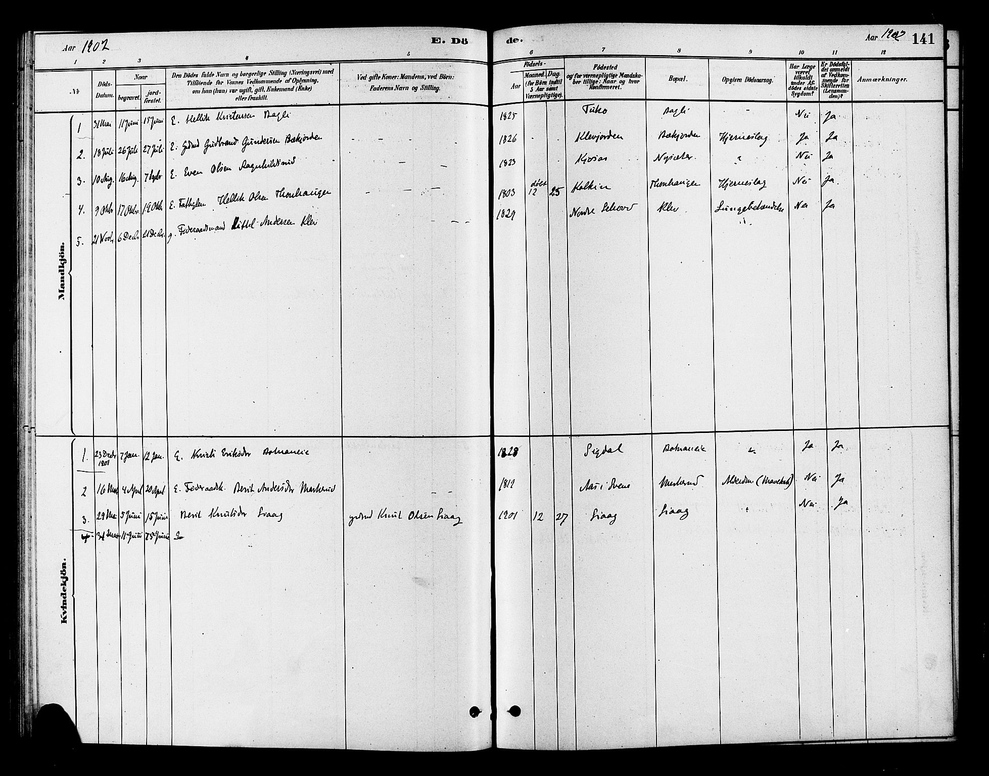 Flesberg kirkebøker, AV/SAKO-A-18/F/Fc/L0001: Parish register (official) no. III 1, 1879-1905, p. 141