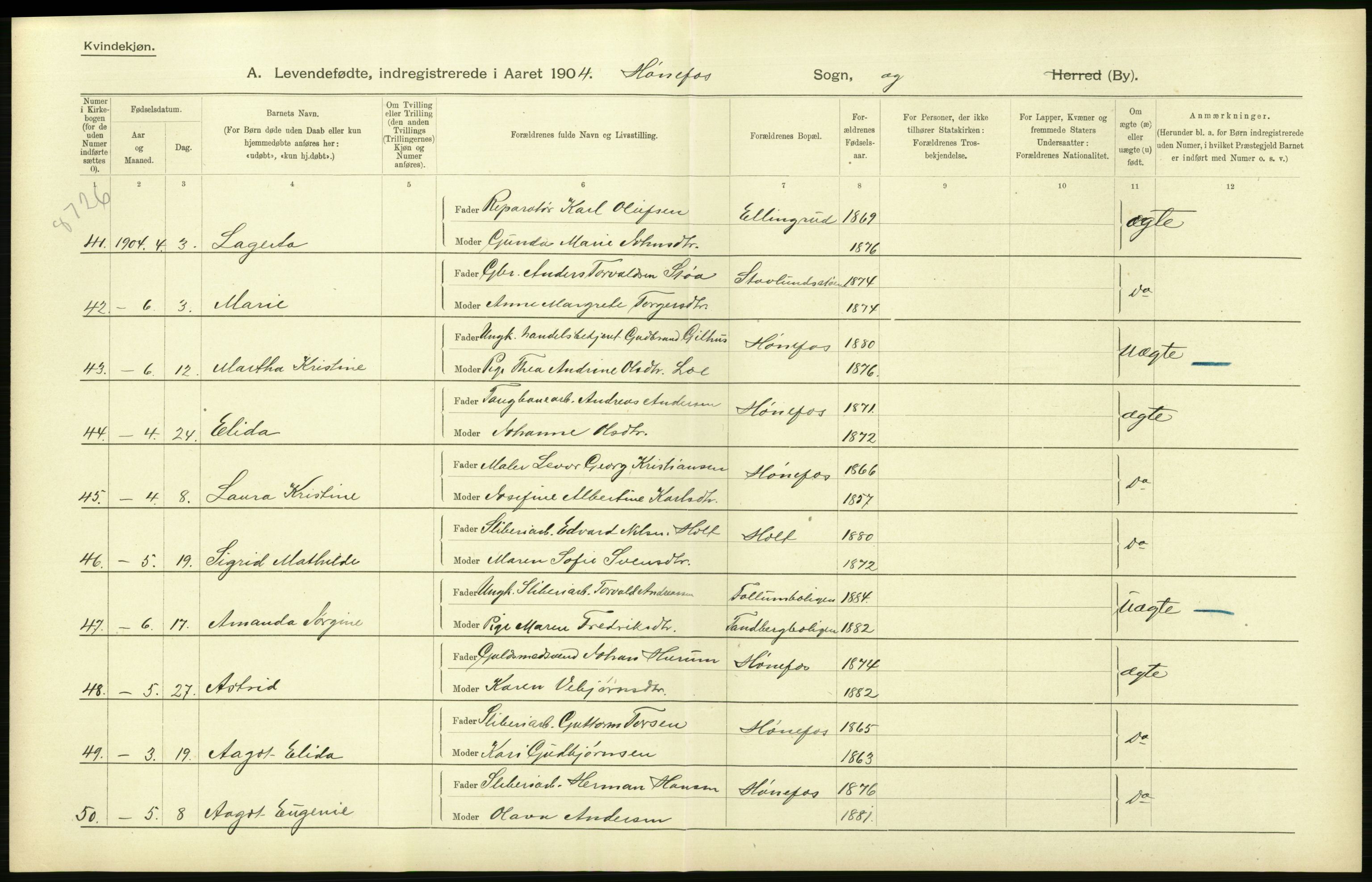 Statistisk sentralbyrå, Sosiodemografiske emner, Befolkning, AV/RA-S-2228/D/Df/Dfa/Dfab/L0007: Buskerud amt: Fødte, gifte, døde, 1904, p. 366