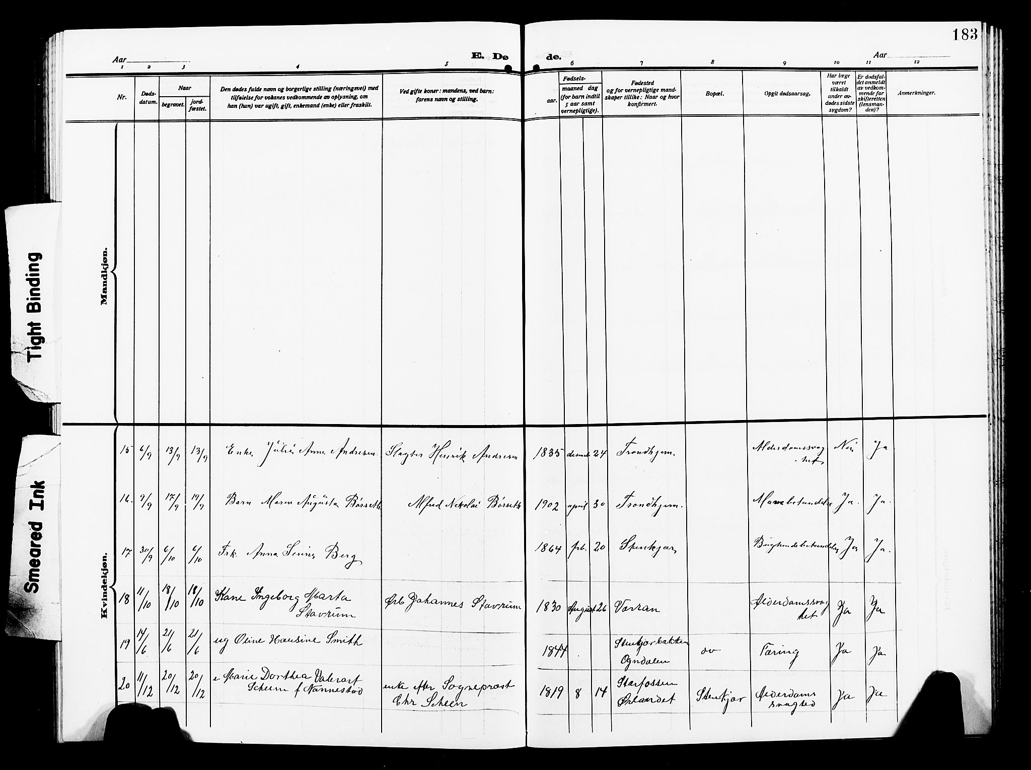 Ministerialprotokoller, klokkerbøker og fødselsregistre - Nord-Trøndelag, SAT/A-1458/739/L0376: Parish register (copy) no. 739C04, 1908-1917, p. 183