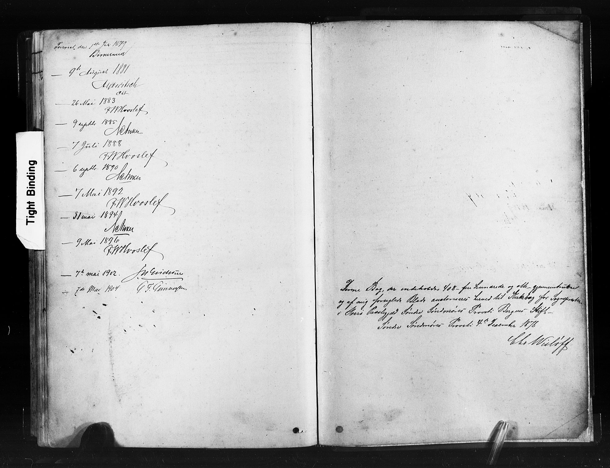 Ministerialprotokoller, klokkerbøker og fødselsregistre - Møre og Romsdal, AV/SAT-A-1454/507/L0073: Parish register (official) no. 507A08, 1878-1904