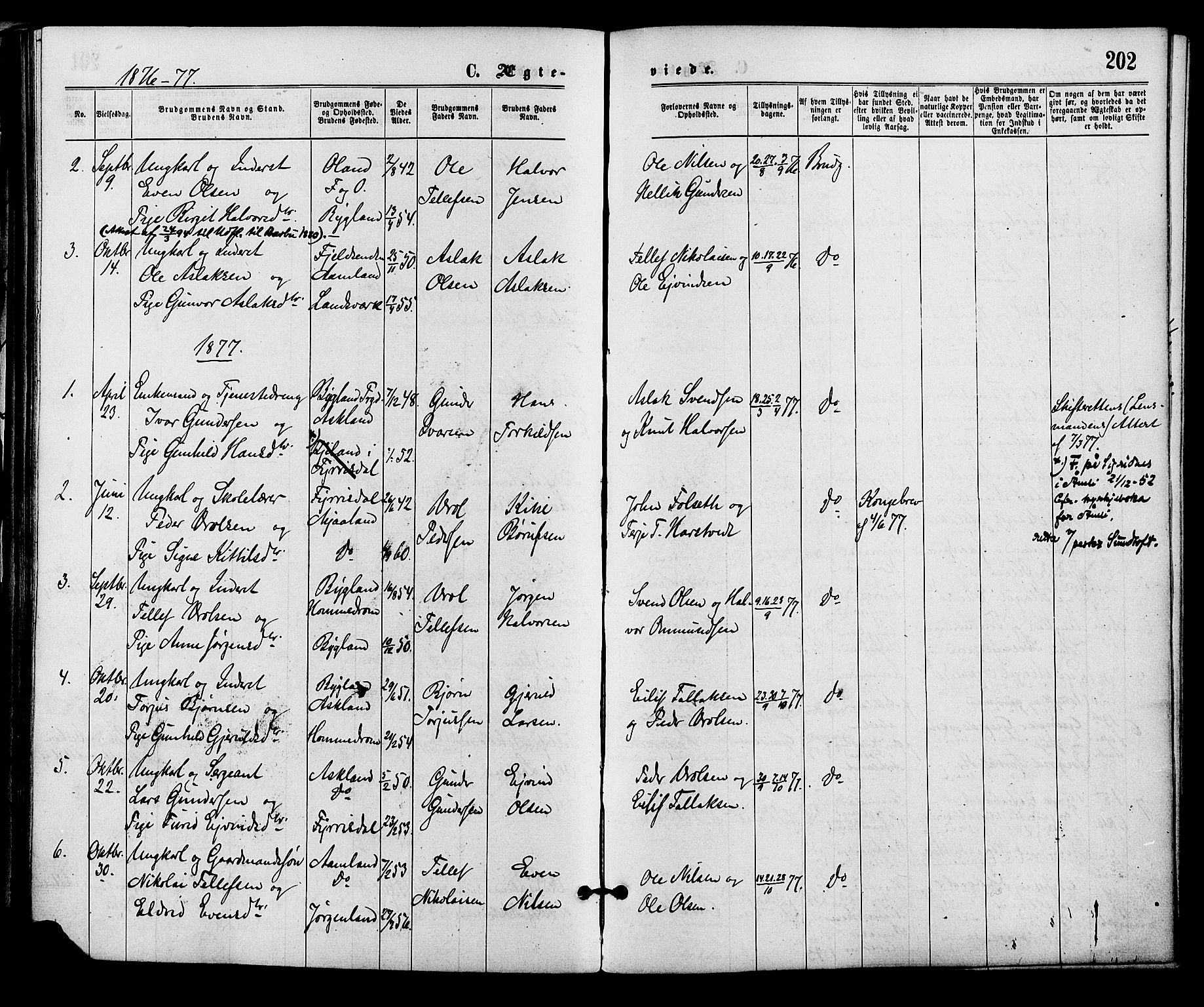 Åmli sokneprestkontor, AV/SAK-1111-0050/F/Fa/Fac/L0009: Parish register (official) no. A 9 /2, 1869-1884, p. 202