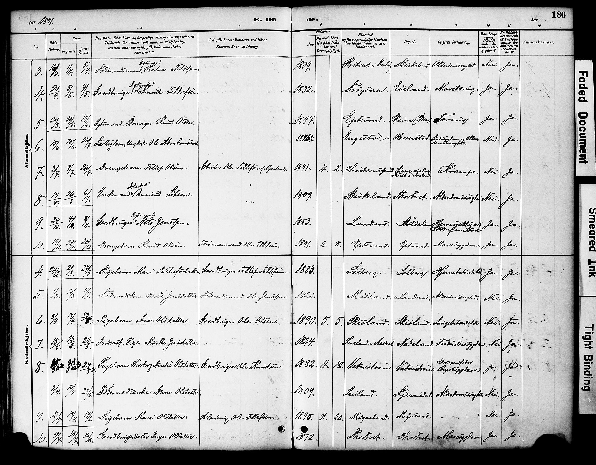 Evje sokneprestkontor, AV/SAK-1111-0008/F/Fa/Fac/L0003: Parish register (official) no. A 3, 1884-1909, p. 186