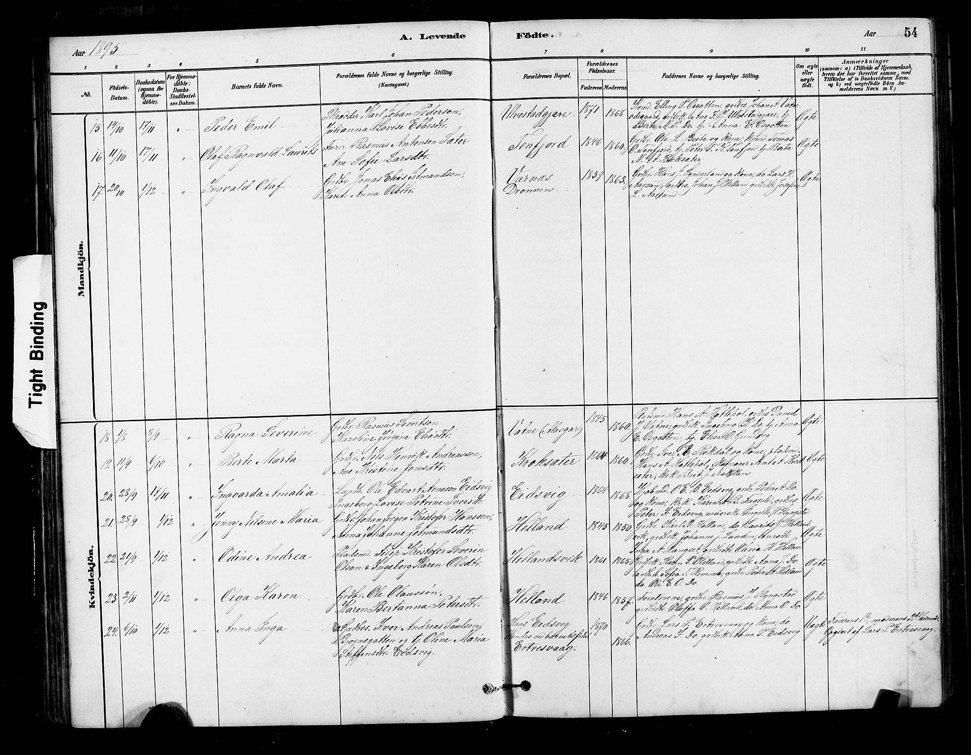 Ministerialprotokoller, klokkerbøker og fødselsregistre - Møre og Romsdal, AV/SAT-A-1454/525/L0376: Parish register (copy) no. 525C02, 1880-1902, p. 54