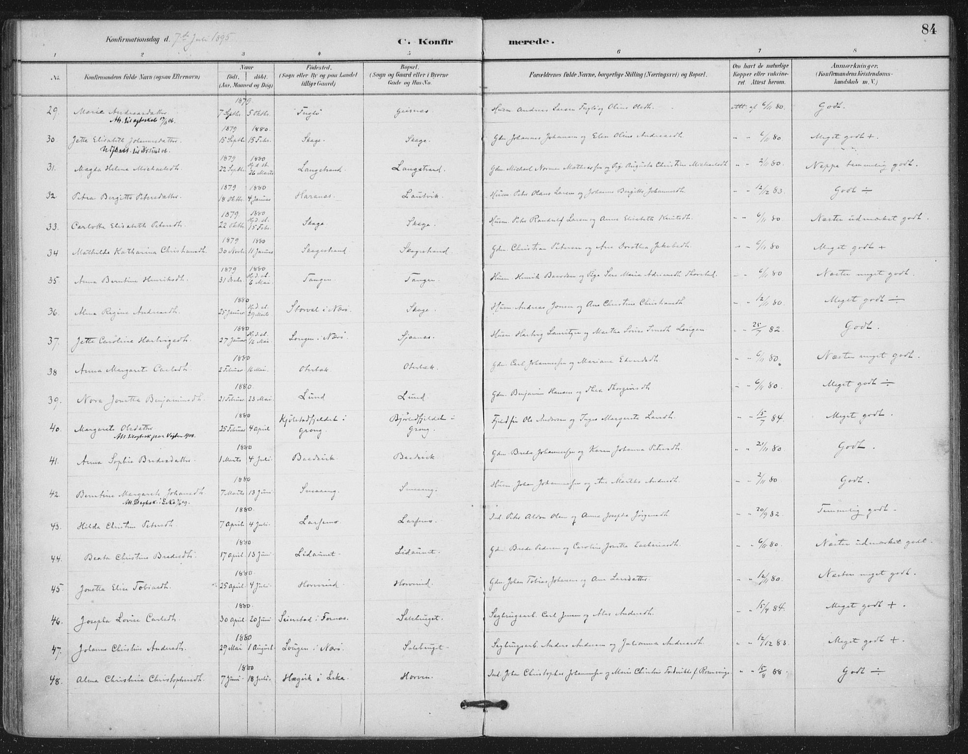 Ministerialprotokoller, klokkerbøker og fødselsregistre - Nord-Trøndelag, AV/SAT-A-1458/780/L0644: Parish register (official) no. 780A08, 1886-1903, p. 84