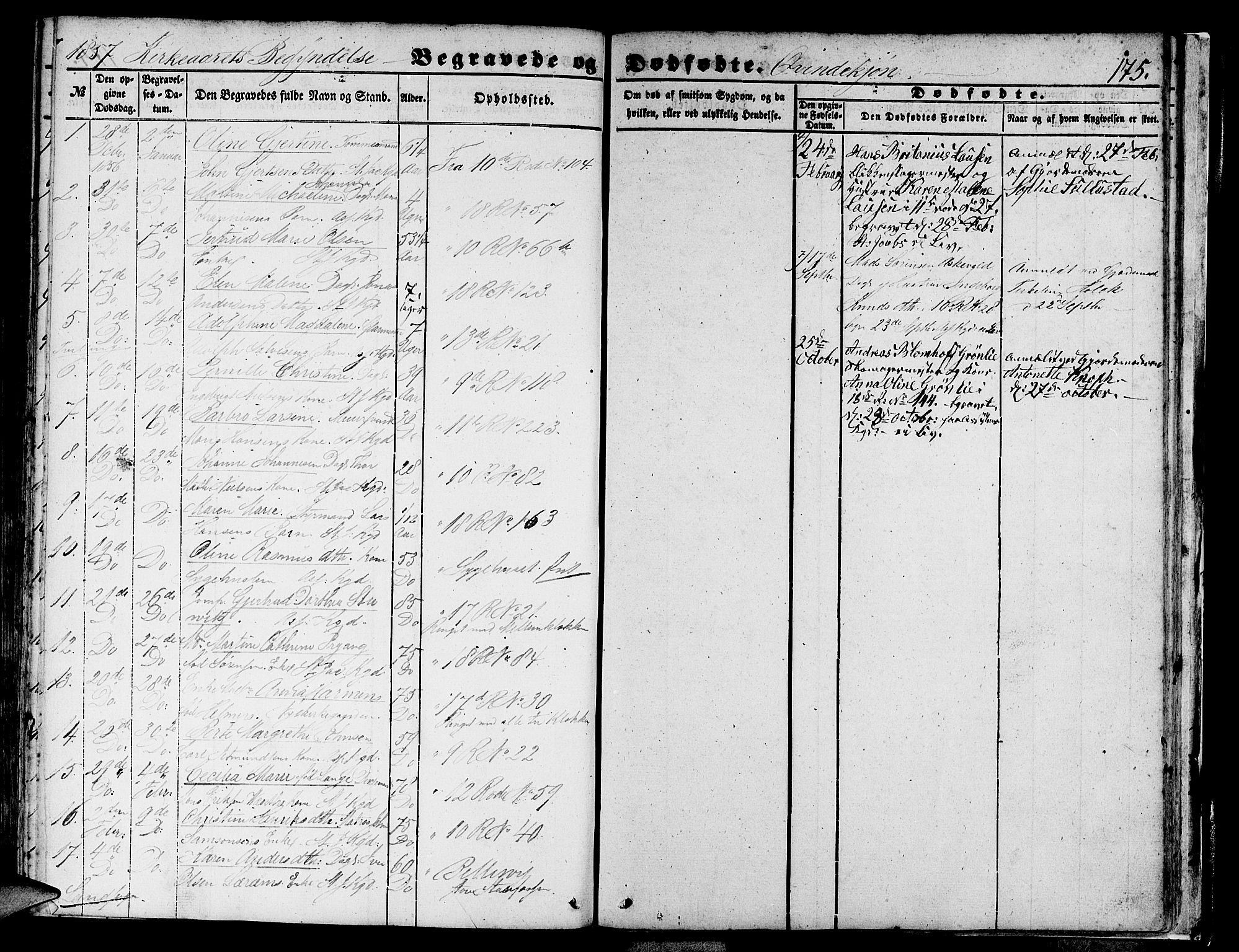 Domkirken sokneprestembete, SAB/A-74801/H/Hab/L0038: Parish register (copy) no. E 2, 1847-1859, p. 175