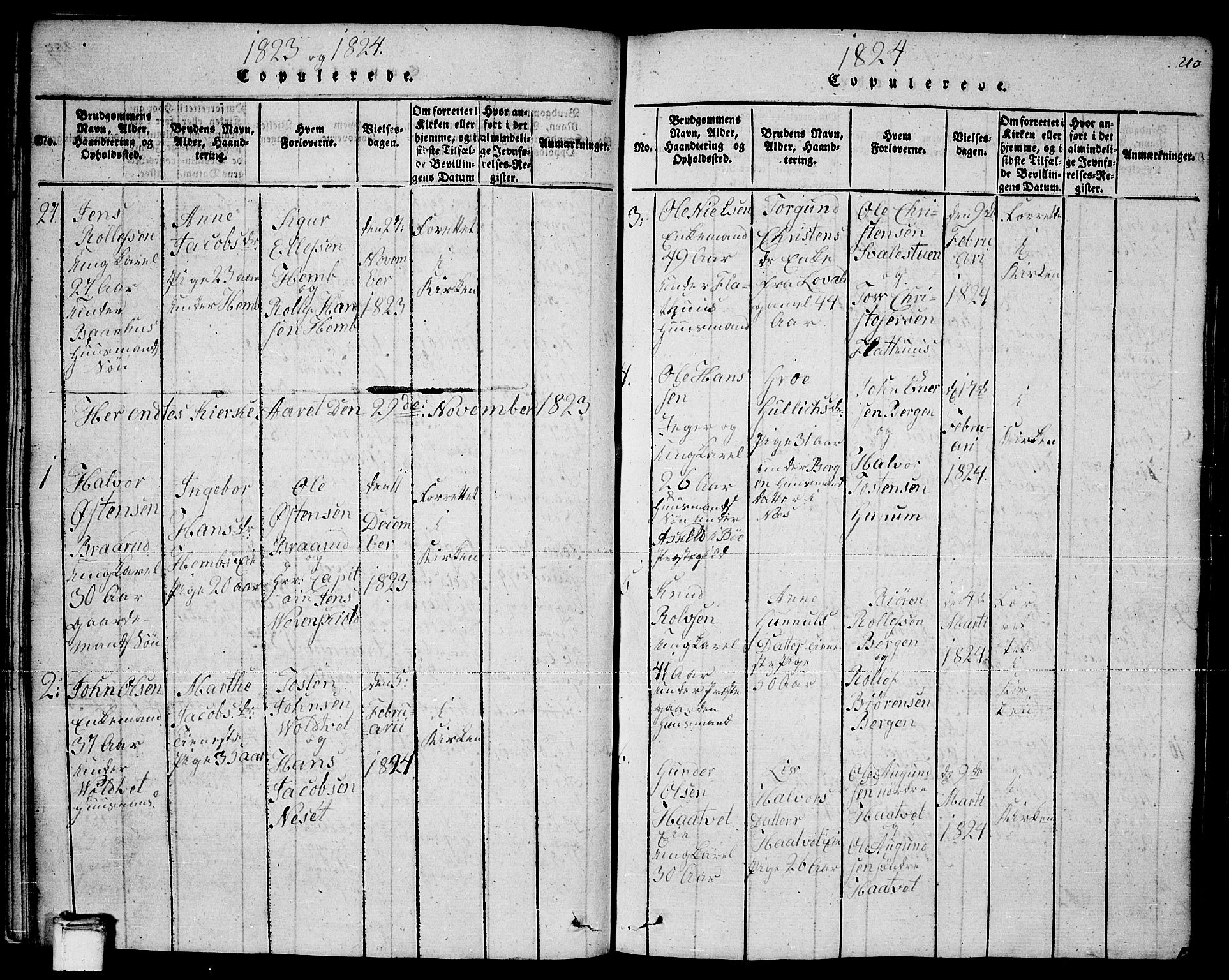 Sauherad kirkebøker, SAKO/A-298/F/Fa/L0005: Parish register (official) no. I 5, 1815-1829, p. 210