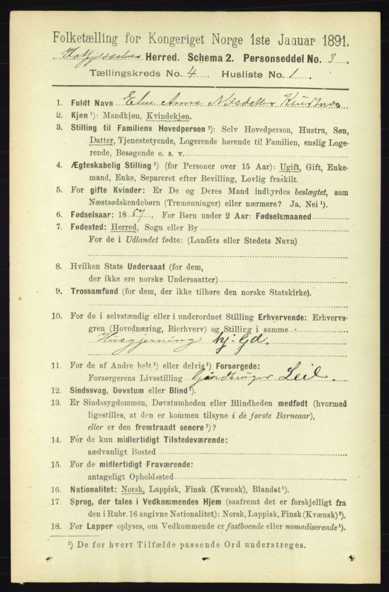 RA, 1891 census for 1826 Hattfjelldal, 1891, p. 920