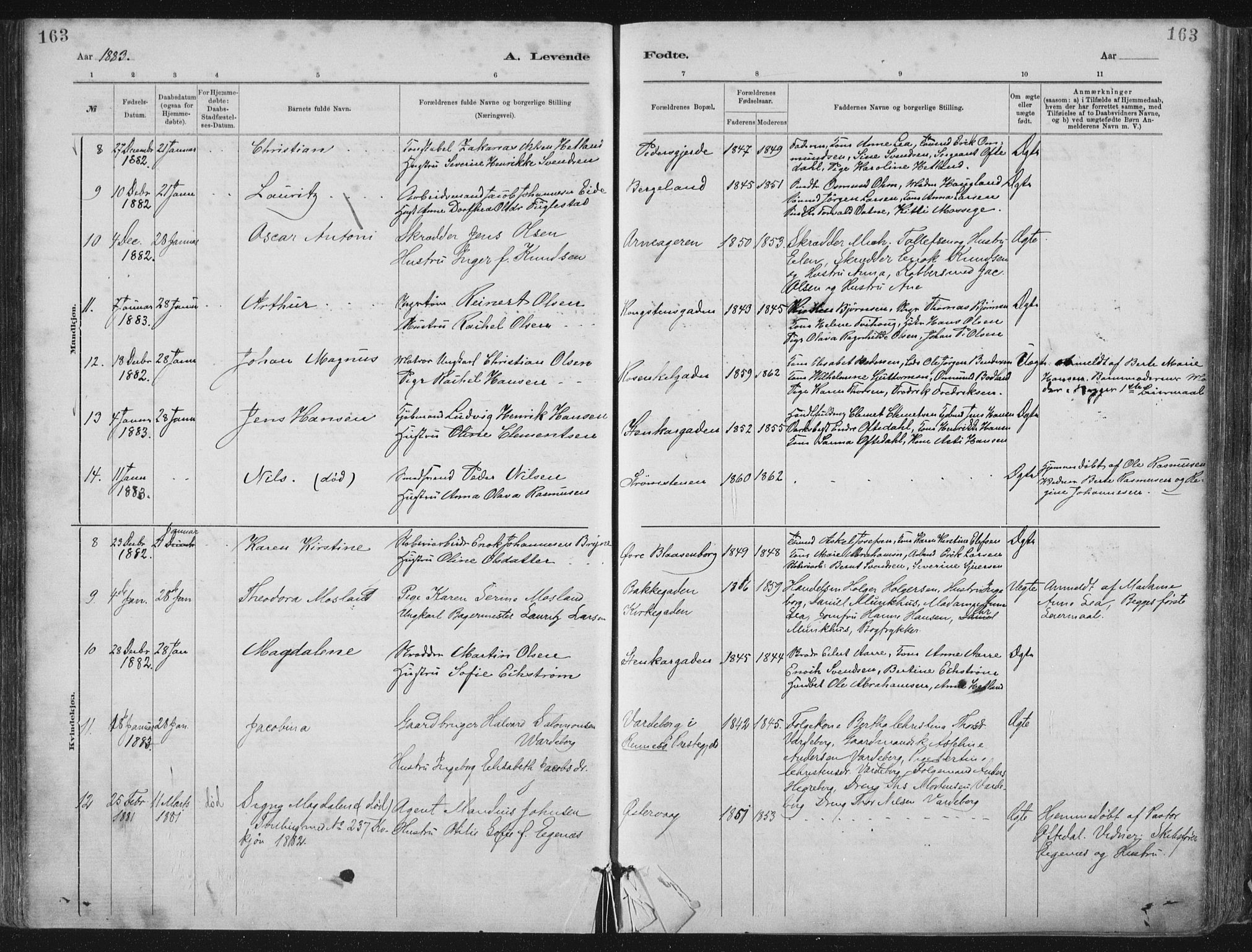 St. Petri sokneprestkontor, AV/SAST-A-101813/001/30/30BA/L0015: Parish register (official) no. A 15, 1879-1888, p. 163