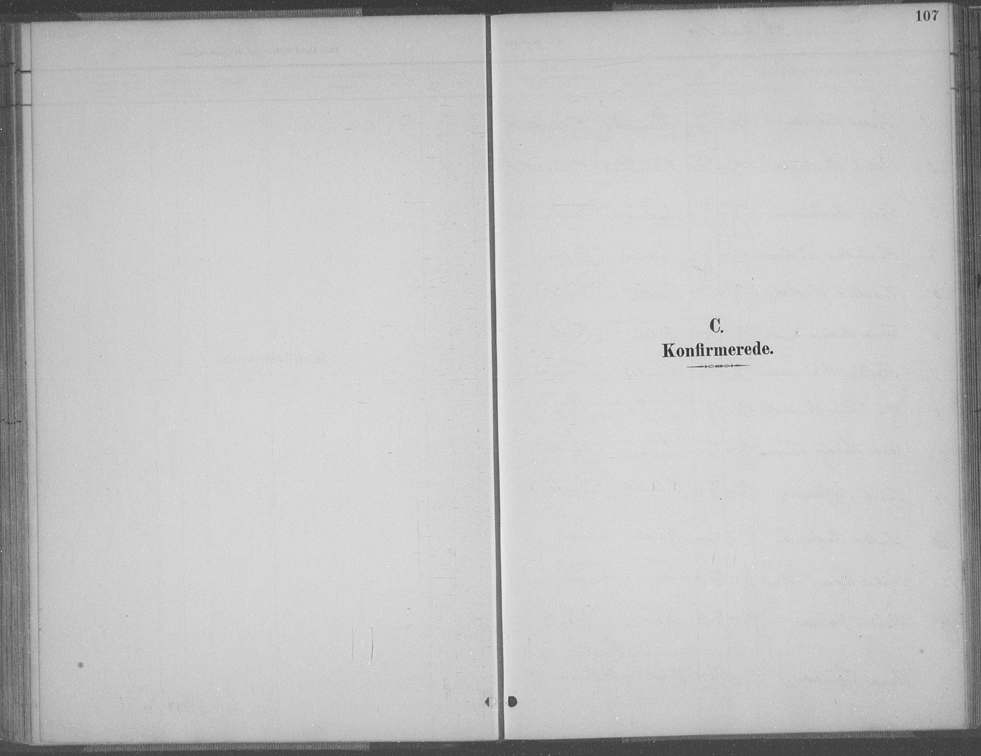 Bakke sokneprestkontor, SAK/1111-0002/F/Fa/Faa/L0008: Parish register (official) no. A 8, 1887-1911, p. 107