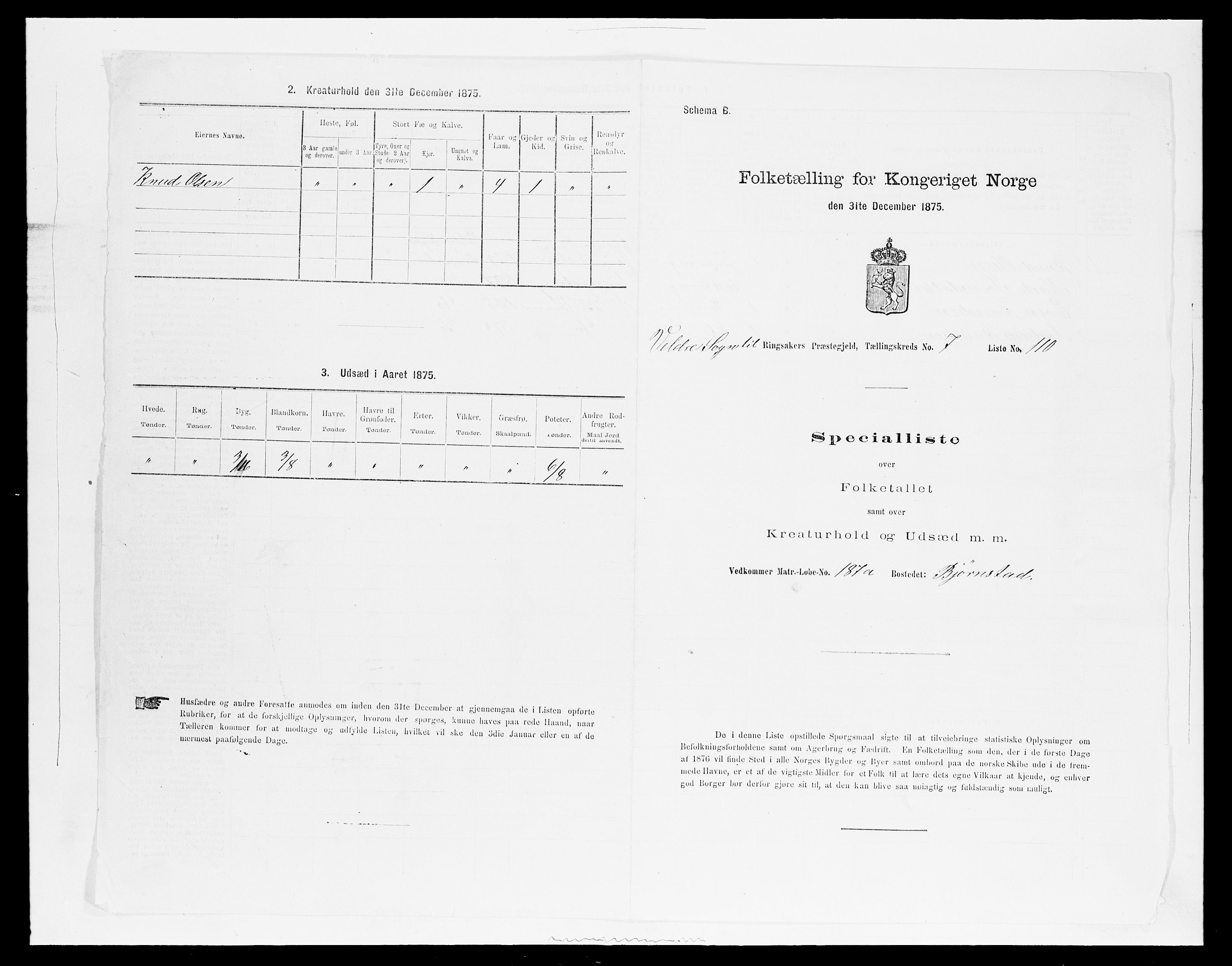 SAH, 1875 census for 0412P Ringsaker, 1875, p. 1625