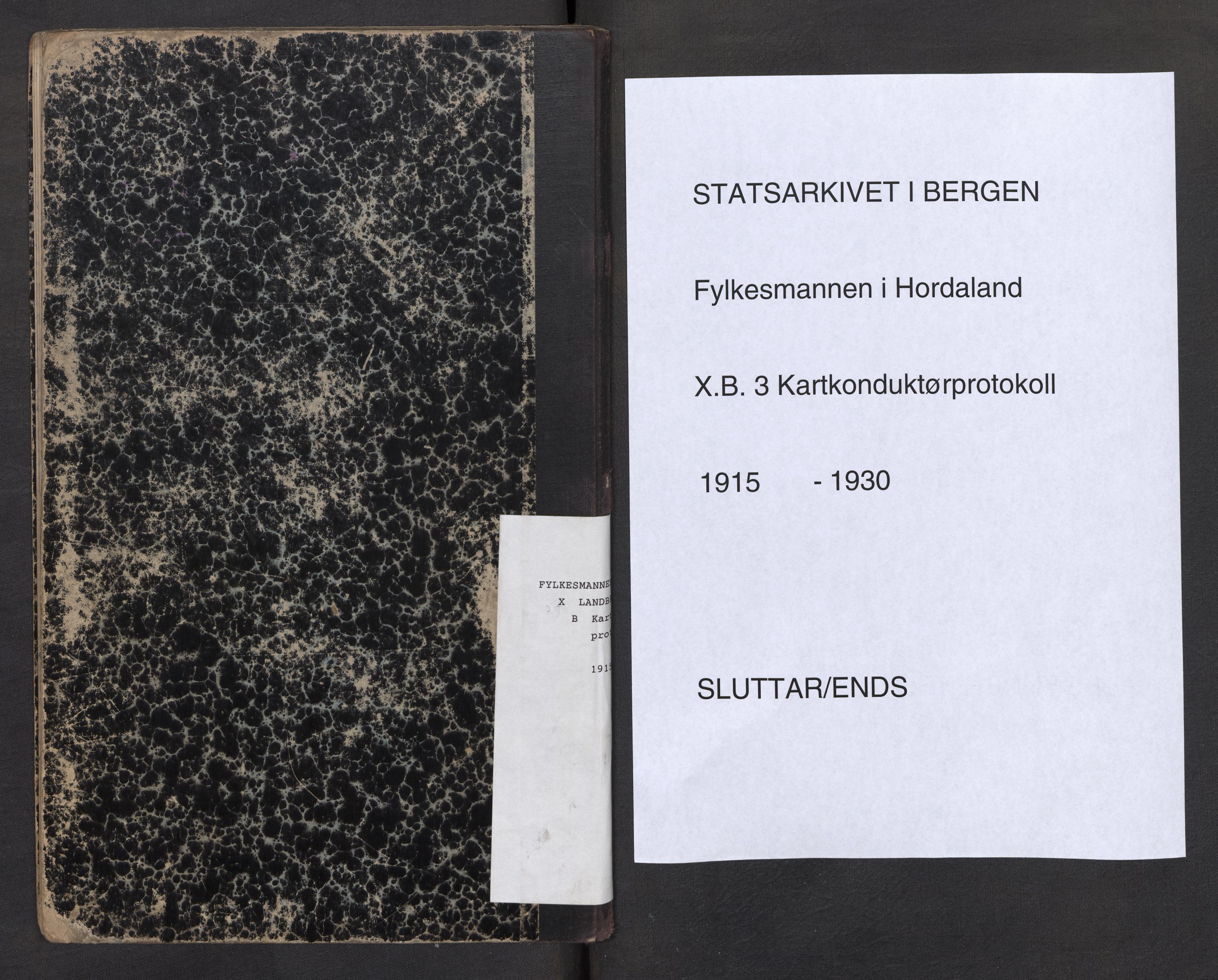 Fylkesmannen i Hordaland , SAB/A-3601/1/10/10B/L0003: Kartkonduktørprotokollar, 1915-1930