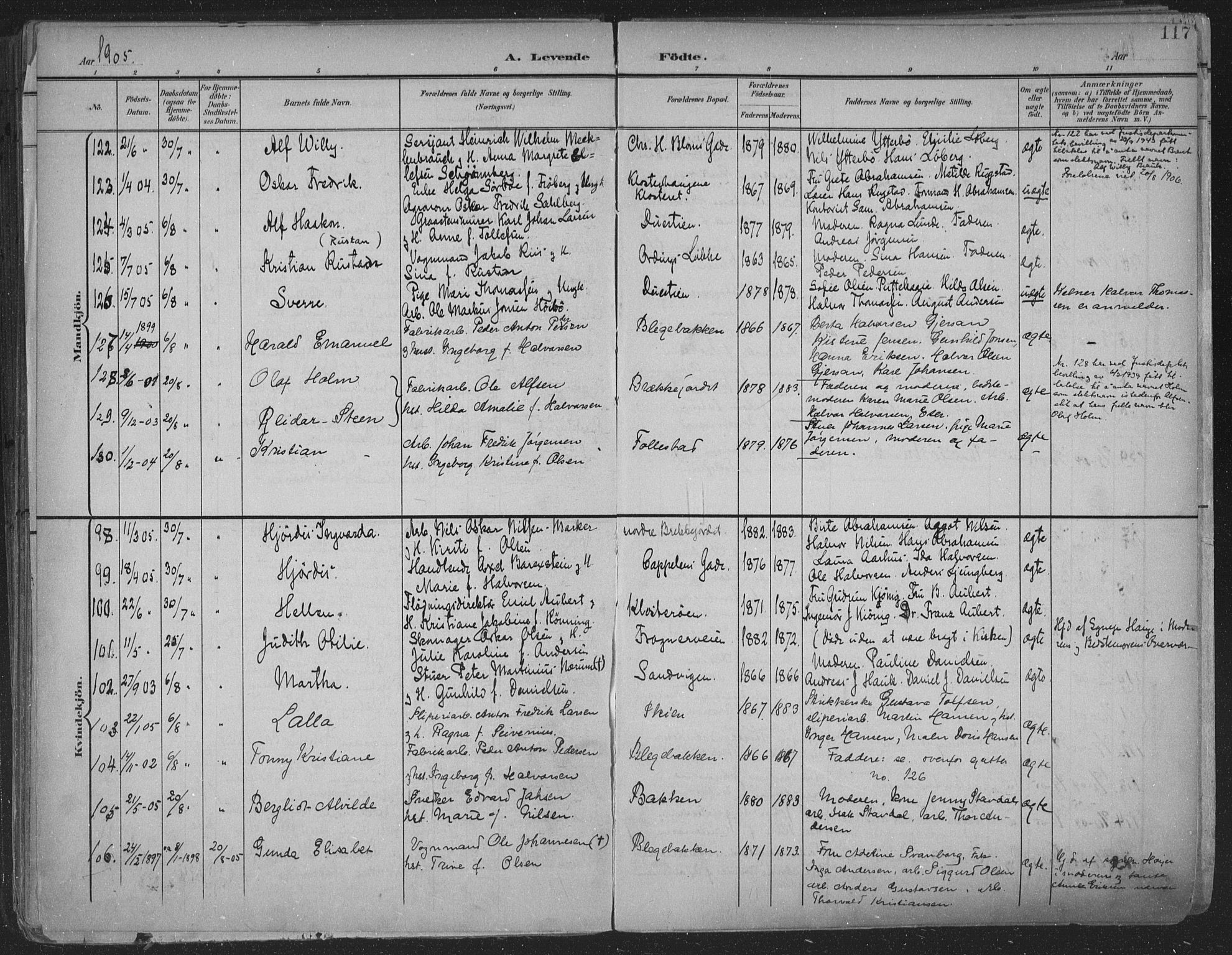Skien kirkebøker, SAKO/A-302/F/Fa/L0011: Parish register (official) no. 11, 1900-1907, p. 117