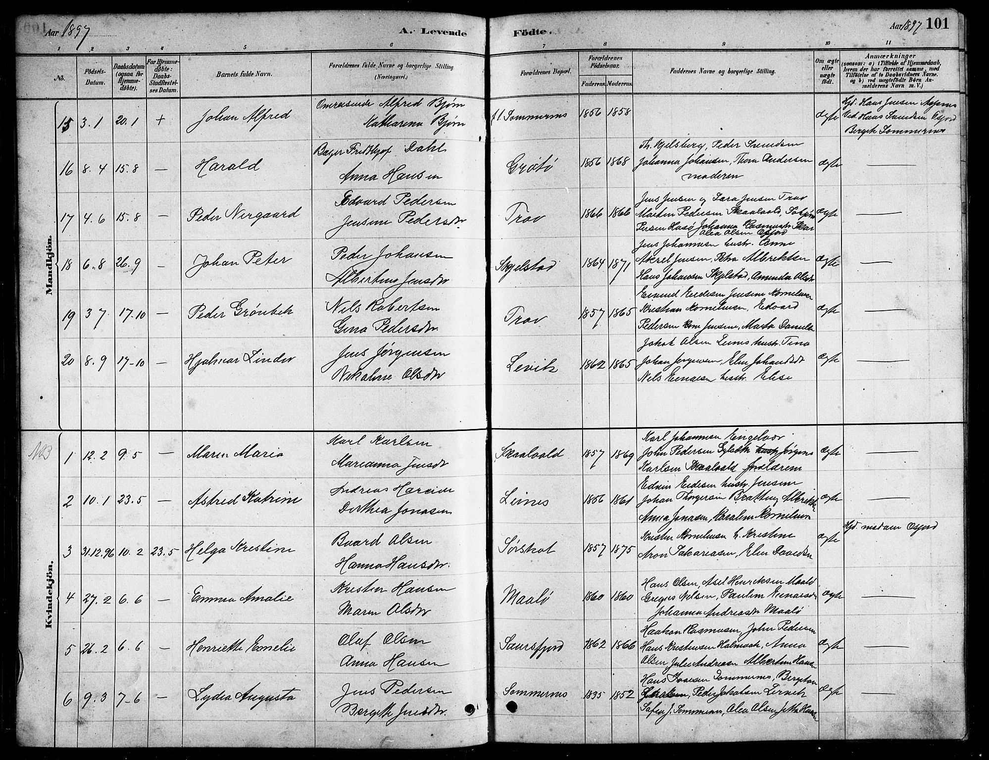 Ministerialprotokoller, klokkerbøker og fødselsregistre - Nordland, AV/SAT-A-1459/857/L0828: Parish register (copy) no. 857C03, 1879-1908, p. 101