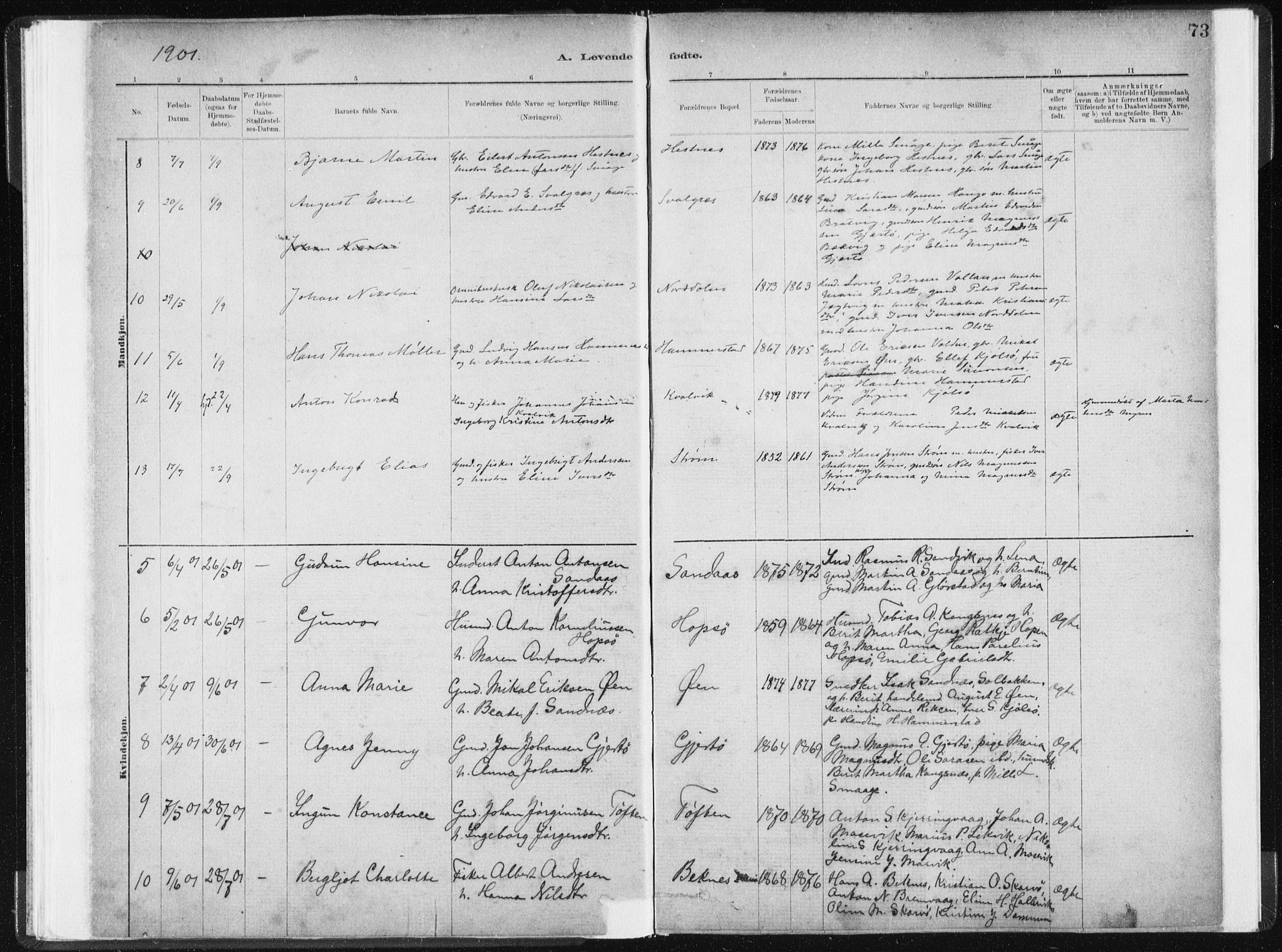 Ministerialprotokoller, klokkerbøker og fødselsregistre - Sør-Trøndelag, AV/SAT-A-1456/634/L0533: Parish register (official) no. 634A09, 1882-1901, p. 73