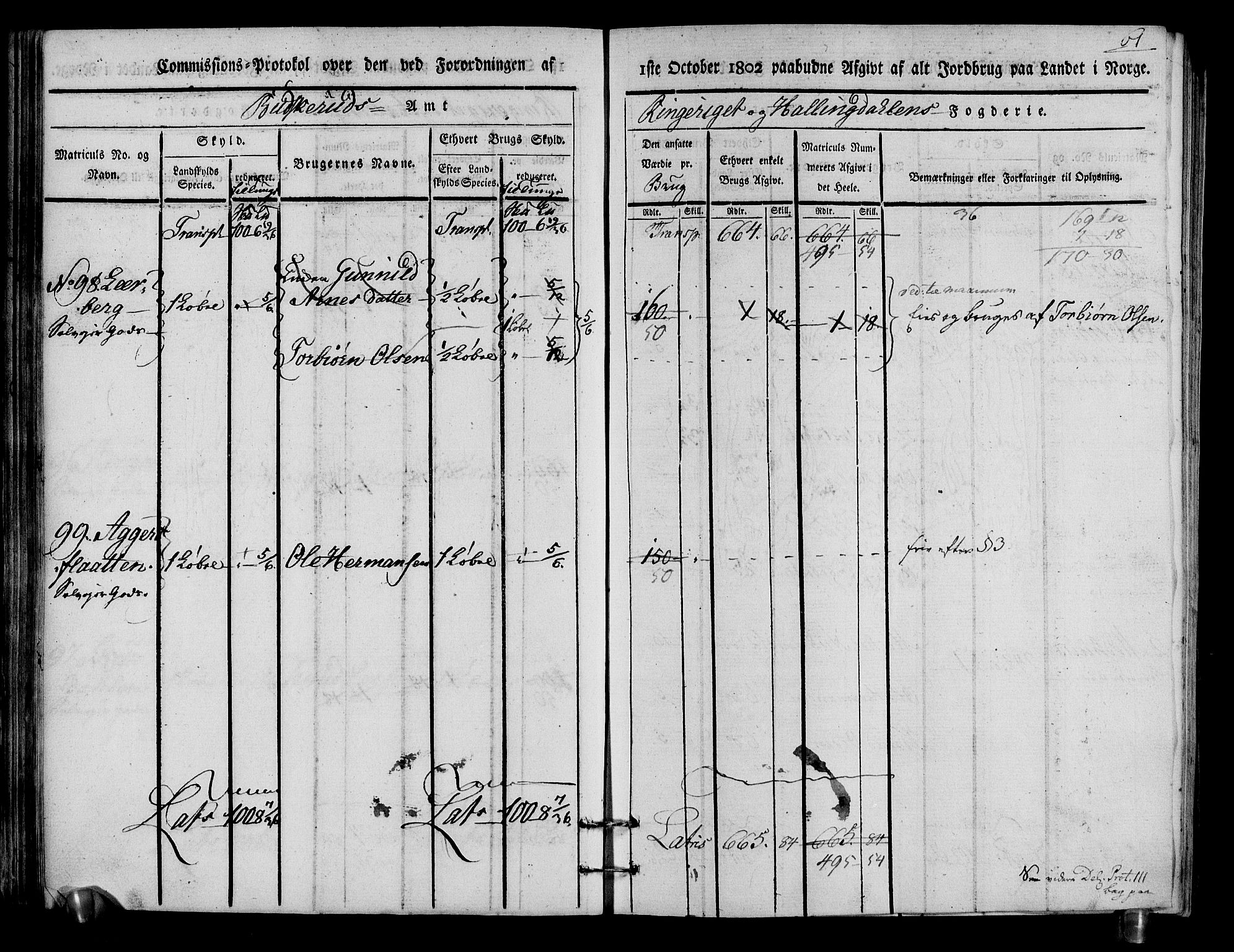 Rentekammeret inntil 1814, Realistisk ordnet avdeling, RA/EA-4070/N/Ne/Nea/L0048: Ringerike og Hallingdal fogderi. Kommisjonsprotokoll for Ål prestegjeld, 1803, p. 65