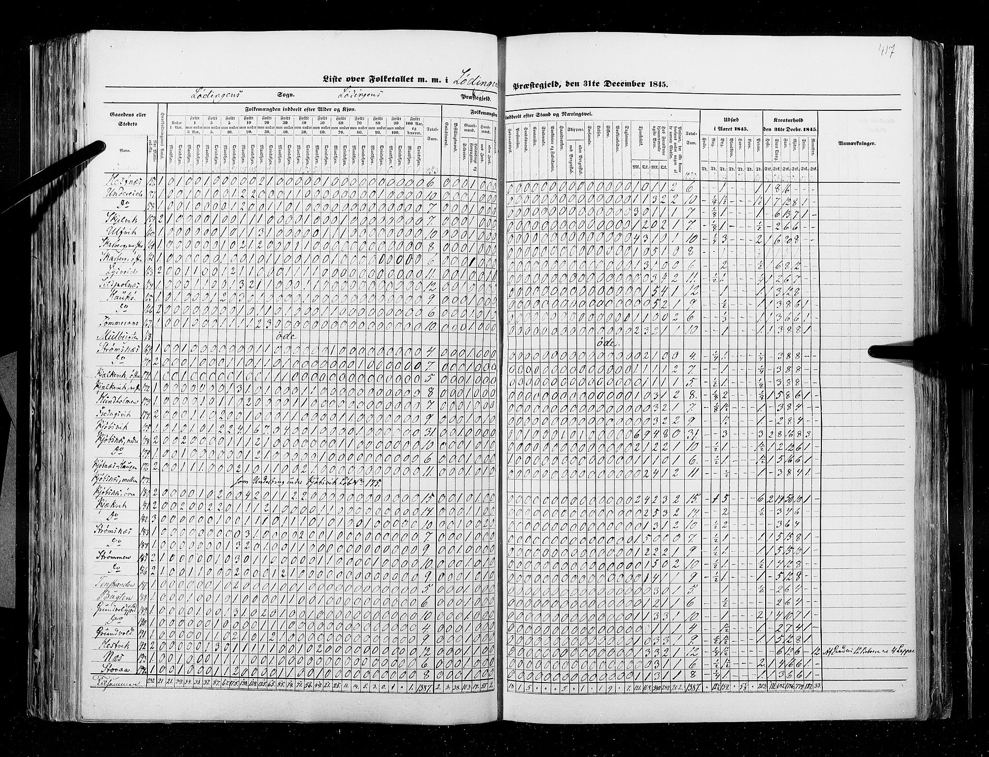 RA, Census 1845, vol. 9B: Nordland amt, 1845, p. 417