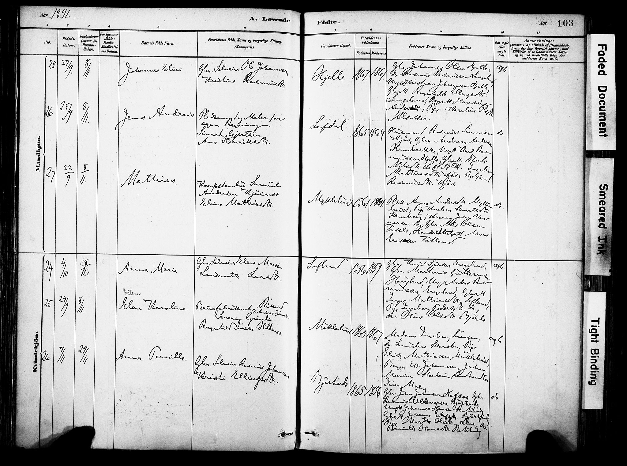 Eid sokneprestembete, AV/SAB-A-82301/H/Haa/Haab/L0001: Parish register (official) no. B 1, 1879-1906, p. 103