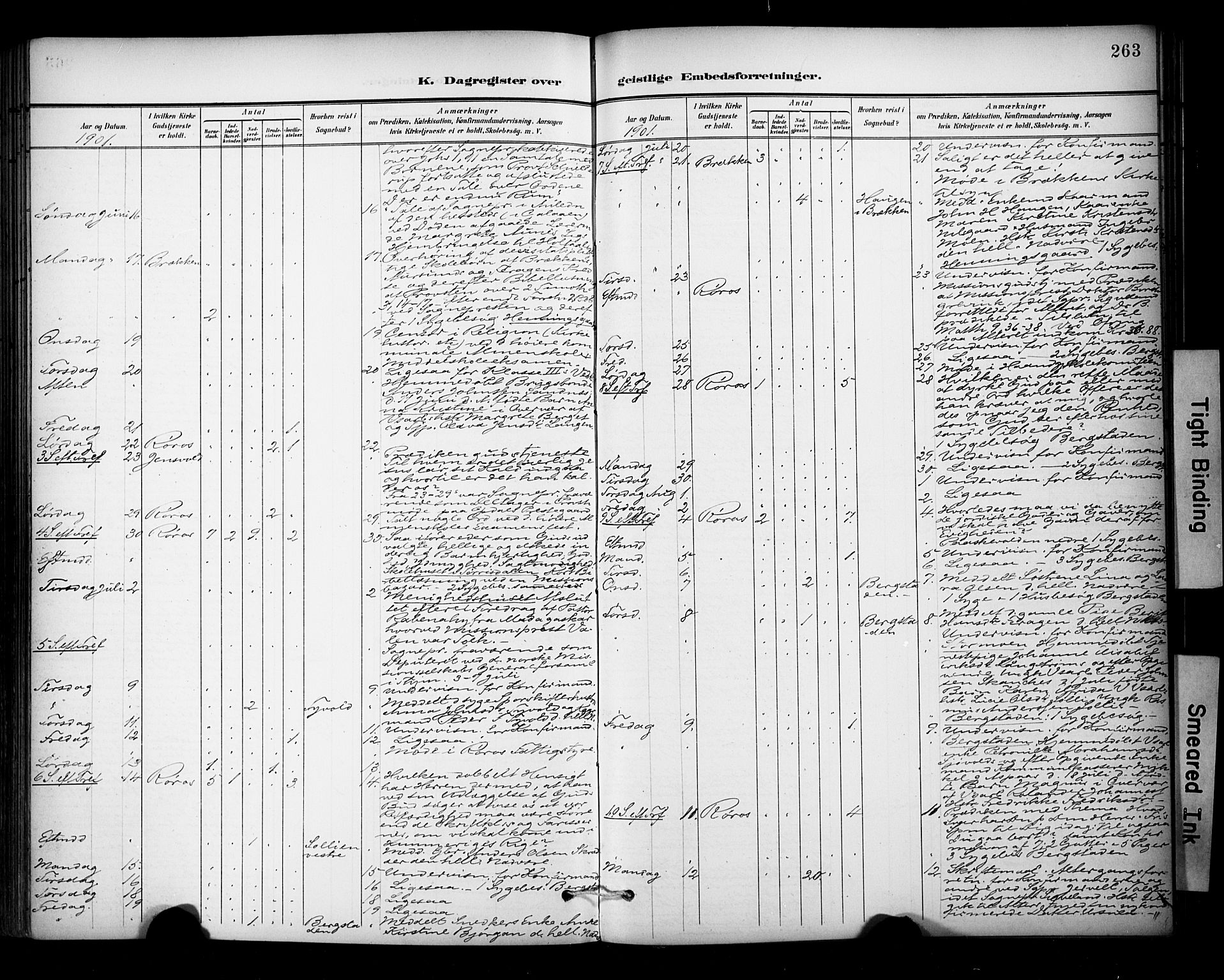 Ministerialprotokoller, klokkerbøker og fødselsregistre - Sør-Trøndelag, AV/SAT-A-1456/681/L0936: Parish register (official) no. 681A14, 1899-1908, p. 263