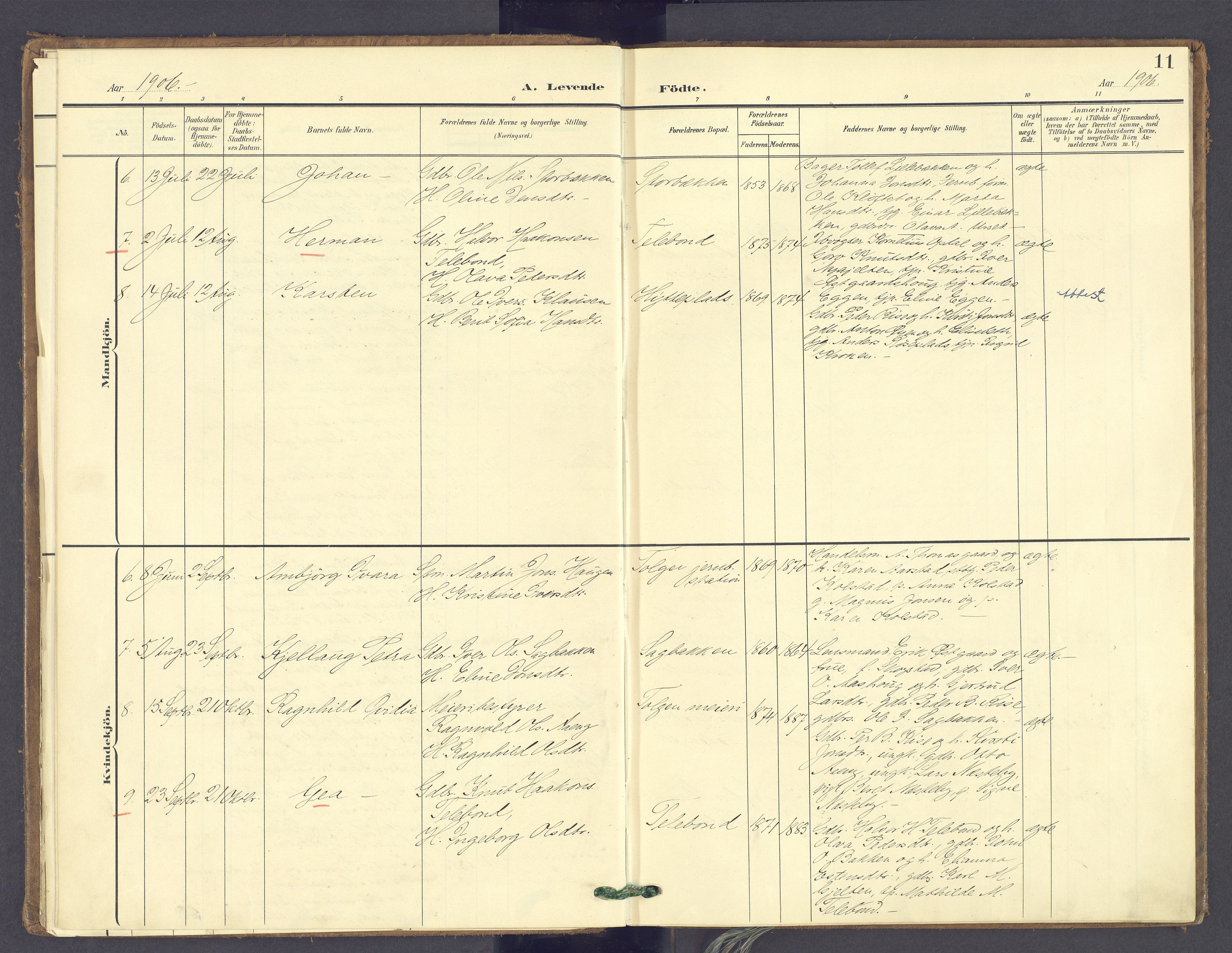 Tolga prestekontor, SAH/PREST-062/K/L0014: Parish register (official) no. 14, 1903-1929, p. 11