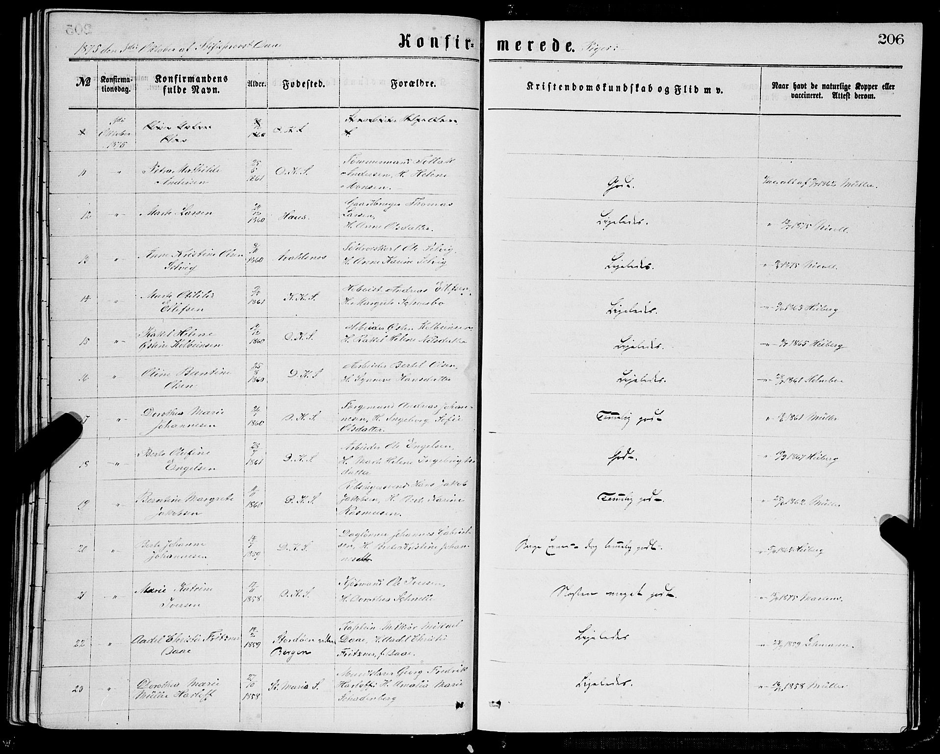 Domkirken sokneprestembete, AV/SAB-A-74801/H/Haa/L0029: Parish register (official) no. C 4, 1864-1879, p. 206