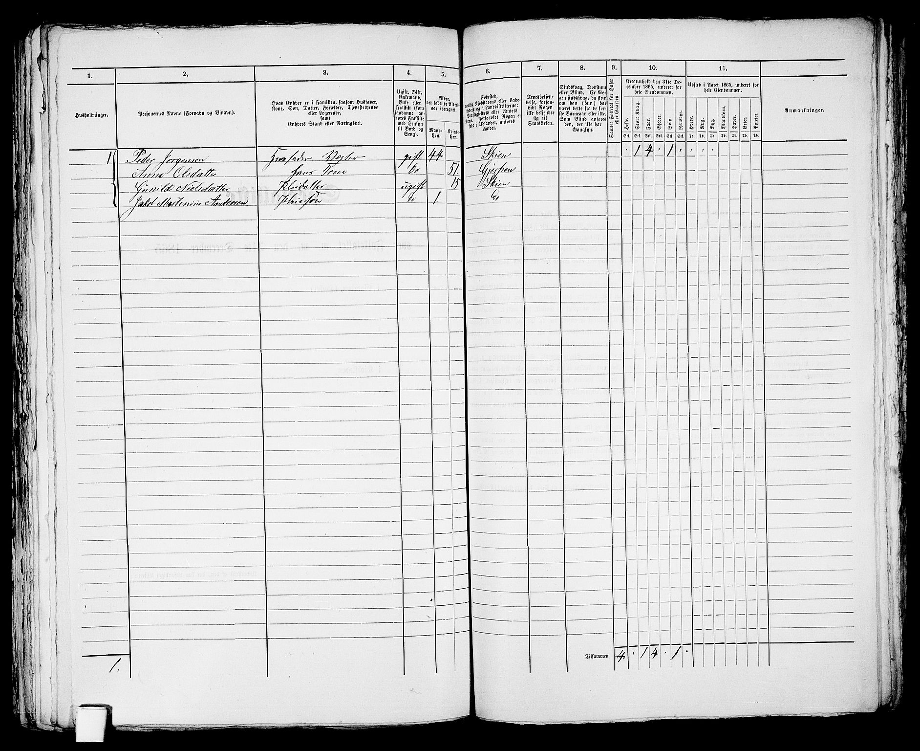 RA, 1865 census for Skien, 1865, p. 1066