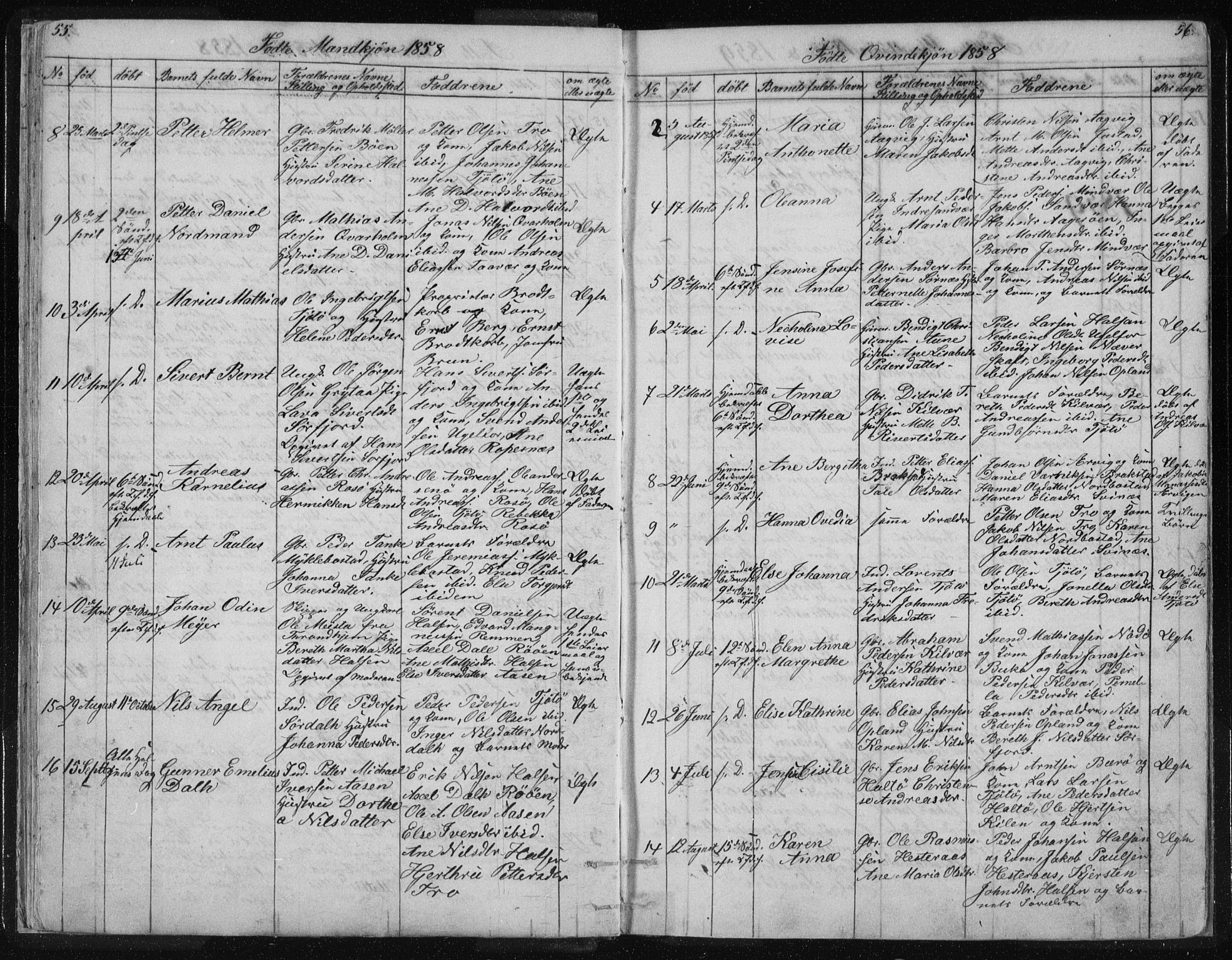 Ministerialprotokoller, klokkerbøker og fødselsregistre - Nordland, SAT/A-1459/817/L0266: Parish register (copy) no. 817C01, 1841-1869, p. 55-56