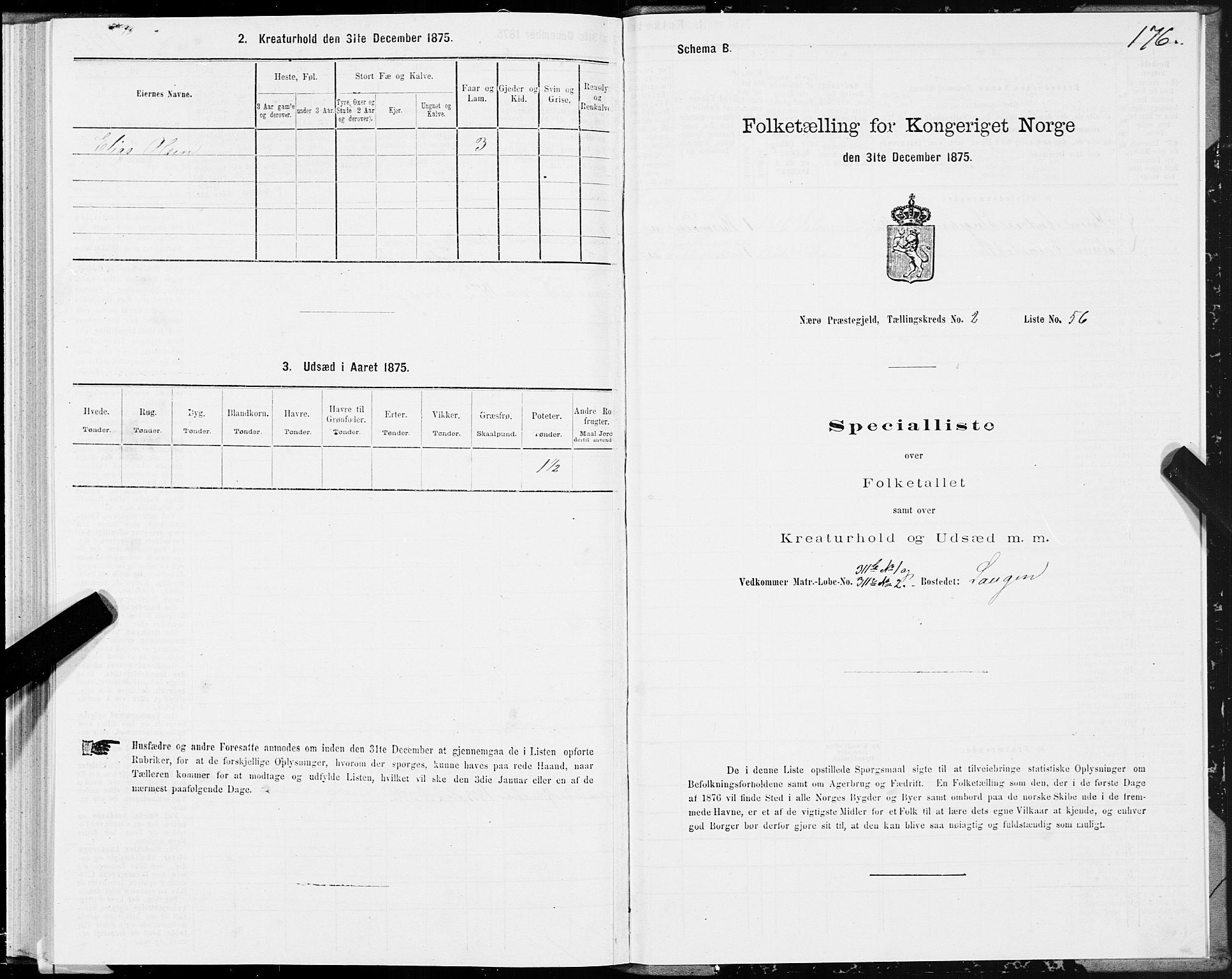 SAT, 1875 census for 1751P Nærøy, 1875, p. 1176