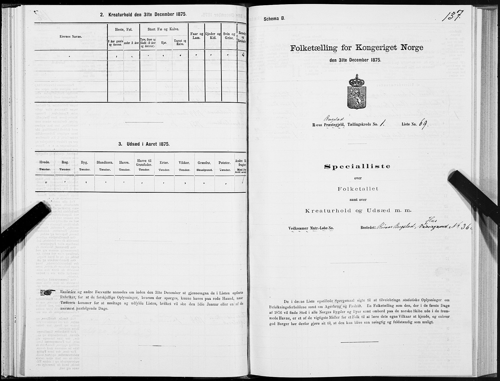 SAT, 1875 census for 1640P Røros, 1875, p. 1137
