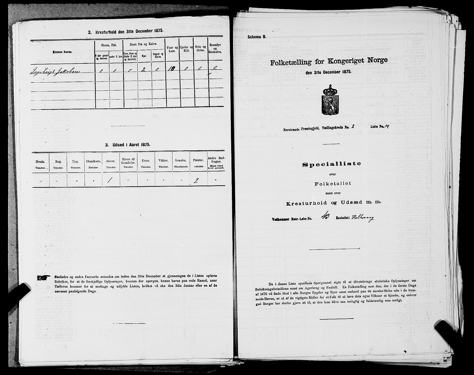 SAST, 1875 census for 1139P Nedstrand, 1875, p. 575