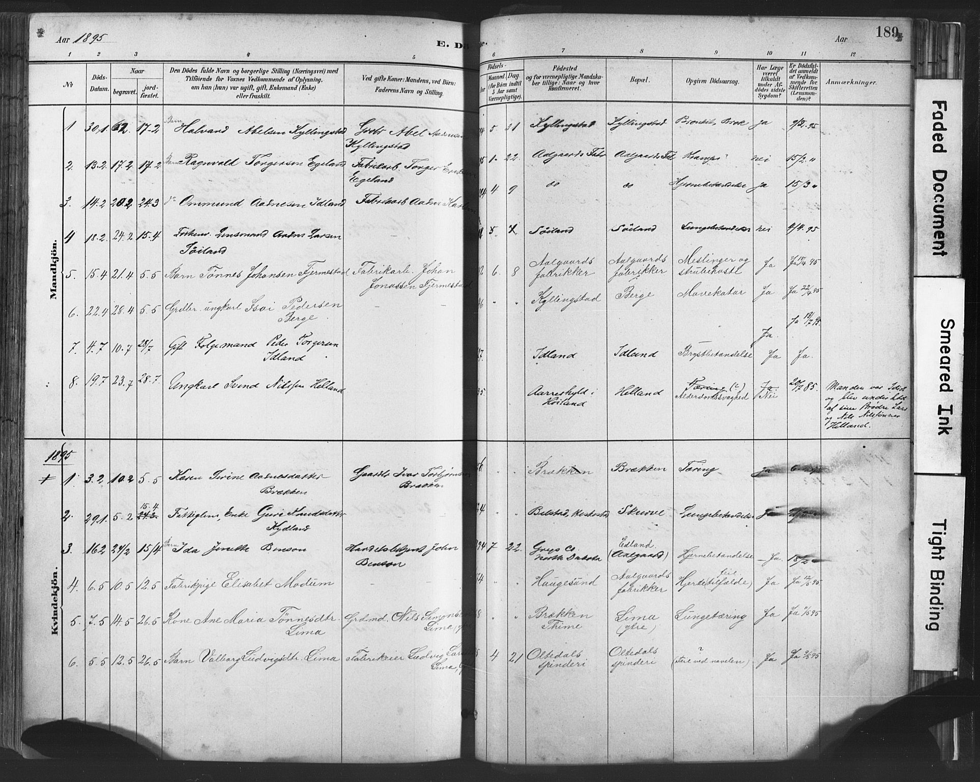 Lye sokneprestkontor, SAST/A-101794/001/30BA/L0010: Parish register (official) no. A 10, 1881-1896, p. 189