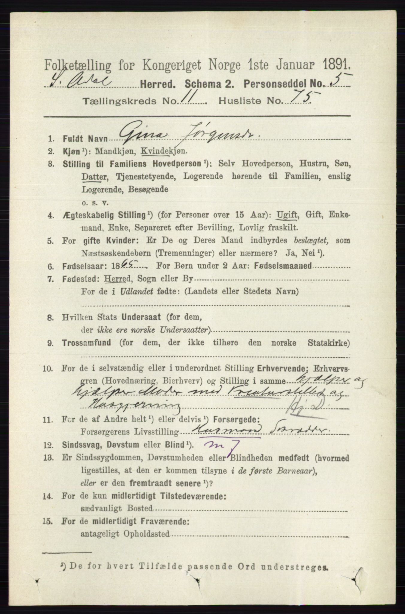 RA, 1891 census for 0419 Sør-Odal, 1891, p. 5362