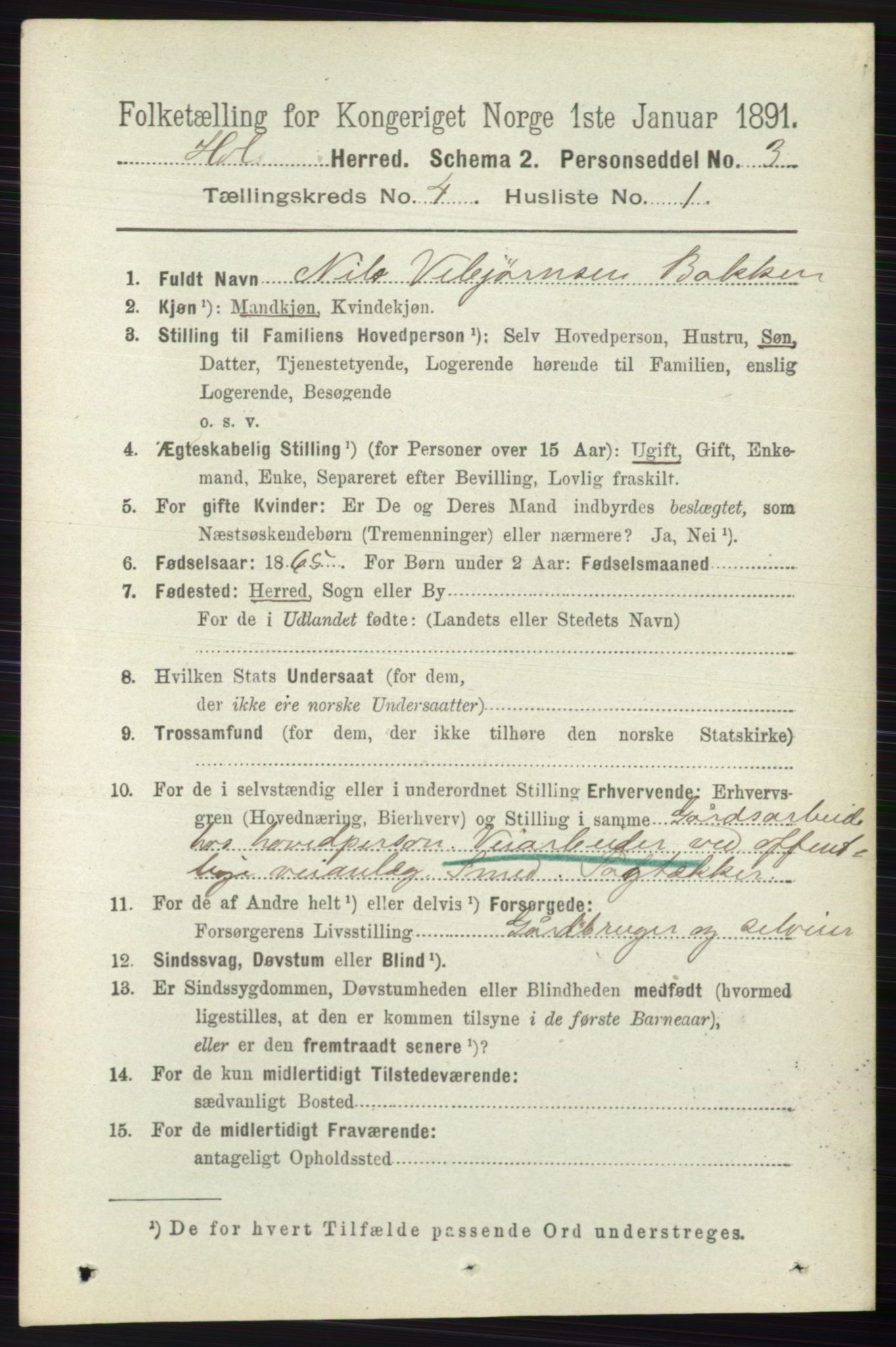 RA, 1891 census for 0620 Hol, 1891, p. 1259