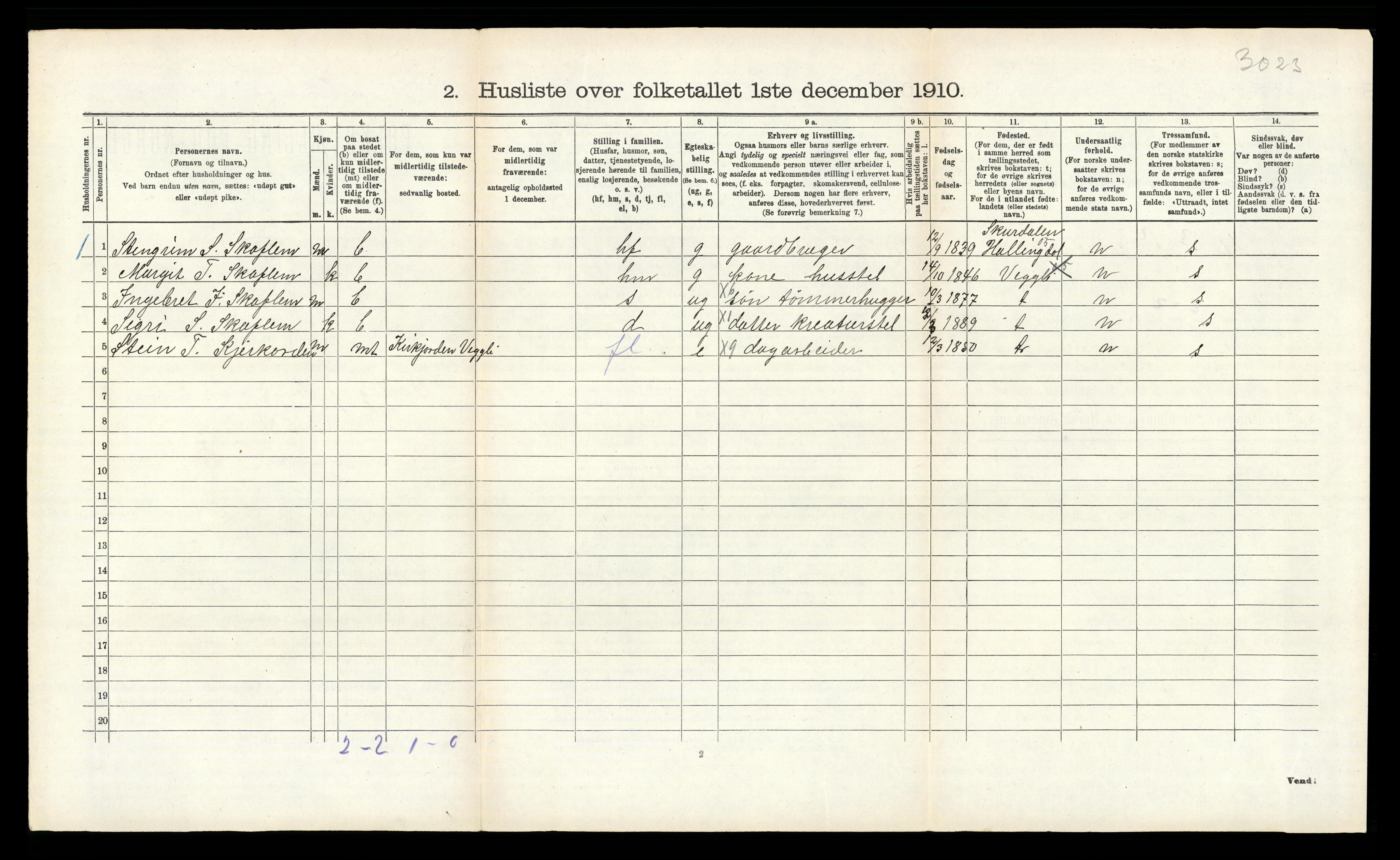 RA, 1910 census for Rollag, 1910, p. 506