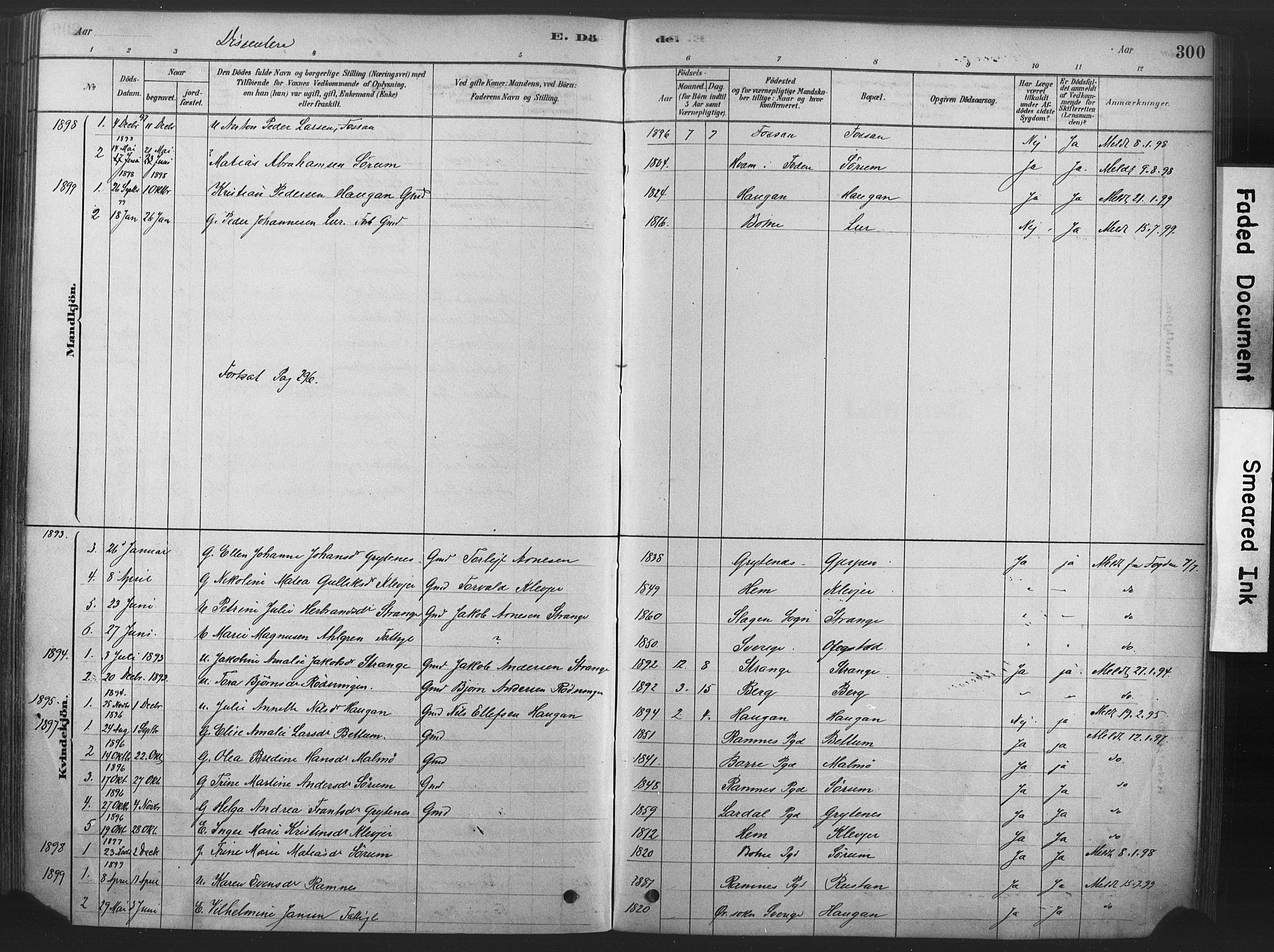 Våle kirkebøker, AV/SAKO-A-334/F/Fa/L0011: Parish register (official) no. I 11, 1878-1906, p. 300