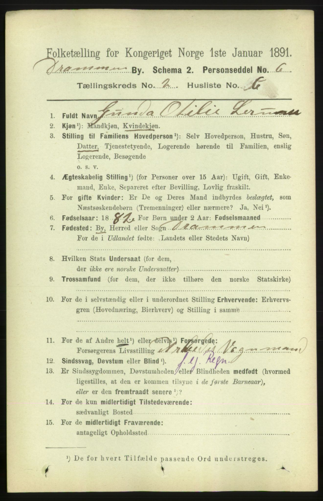 RA, 1891 census for 0602 Drammen, 1891, p. 4315