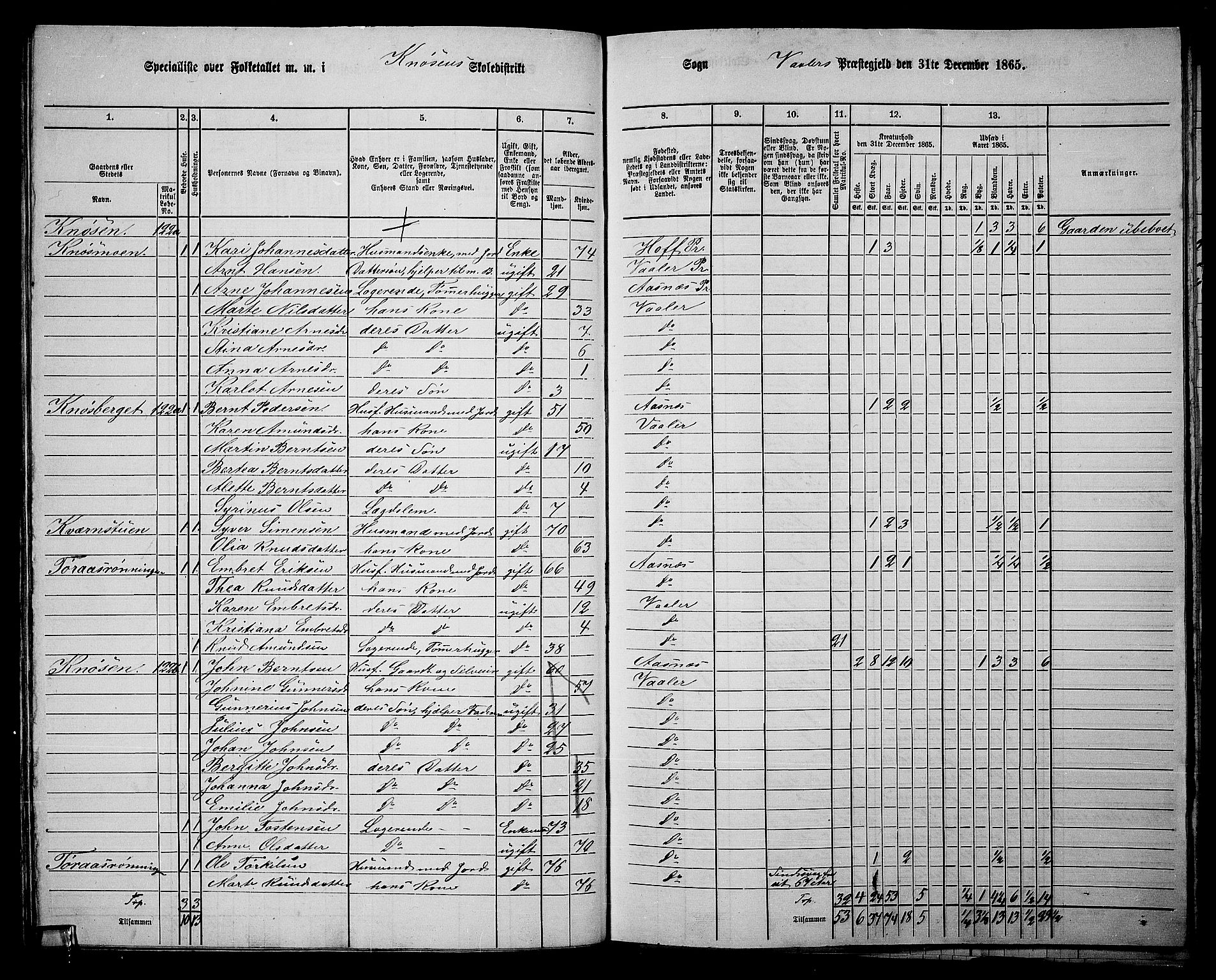 RA, 1865 census for Våler, 1865, p. 68