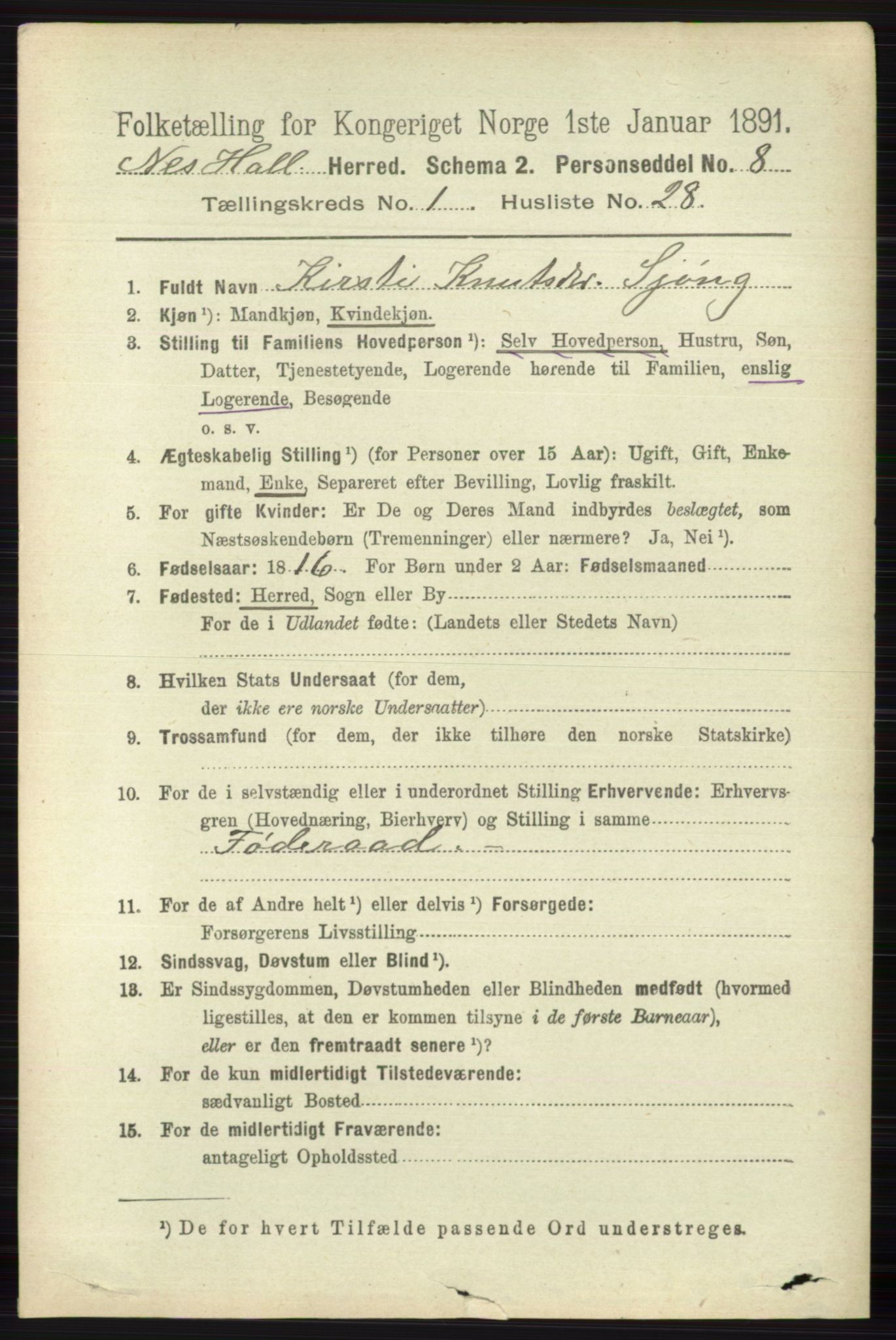 RA, 1891 census for 0616 Nes, 1891, p. 321