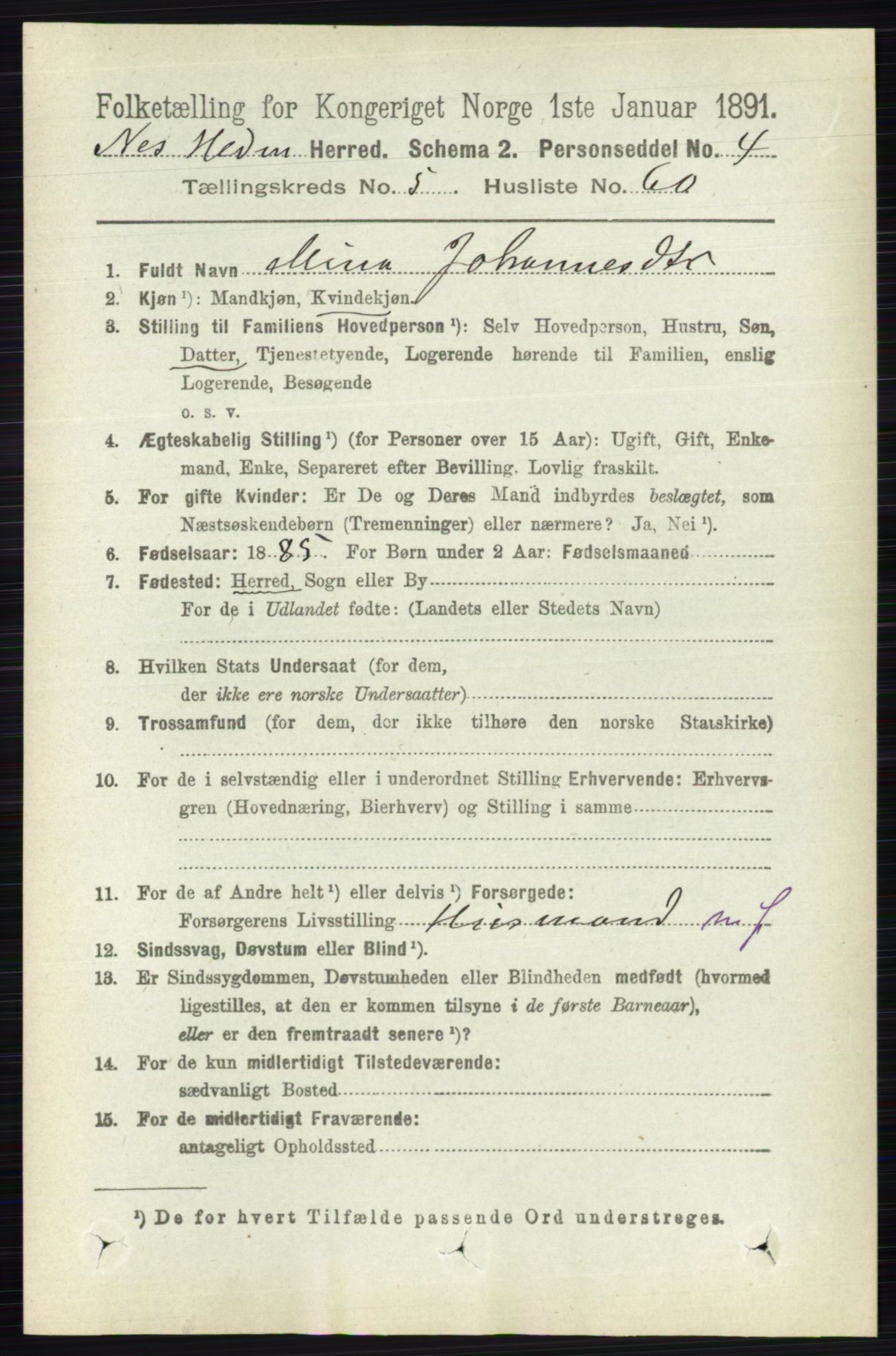 RA, 1891 census for 0411 Nes, 1891, p. 2993